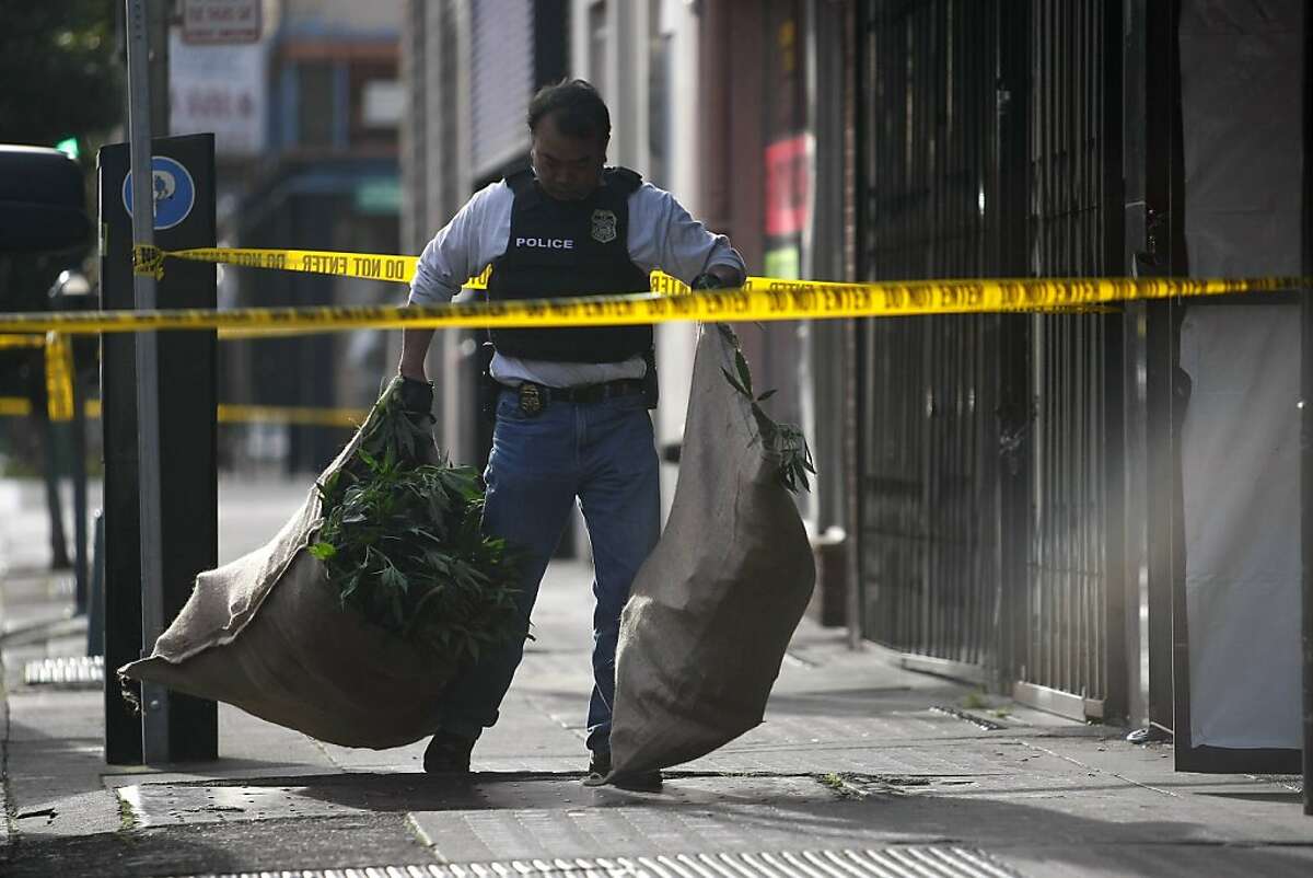 A federal agent carries bags of cannabis out of a building around the corner from the Oaksterdamn University and protestors A federal raid took place at Oaksterdamn University in Oakland on Monday, April 2, 2012.