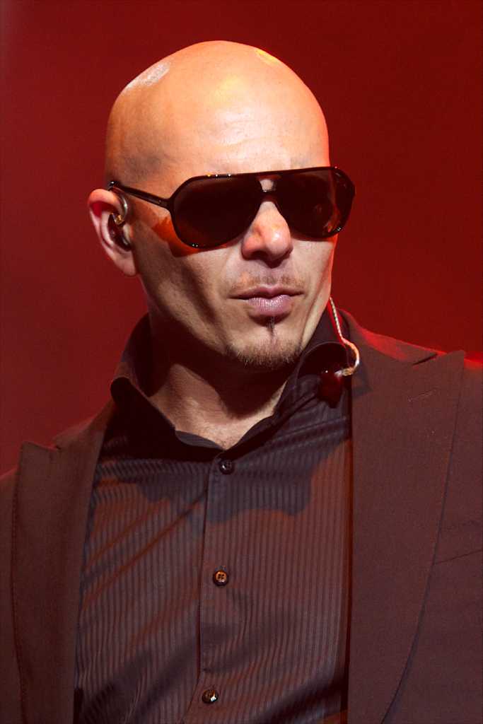 Pitbull on fire