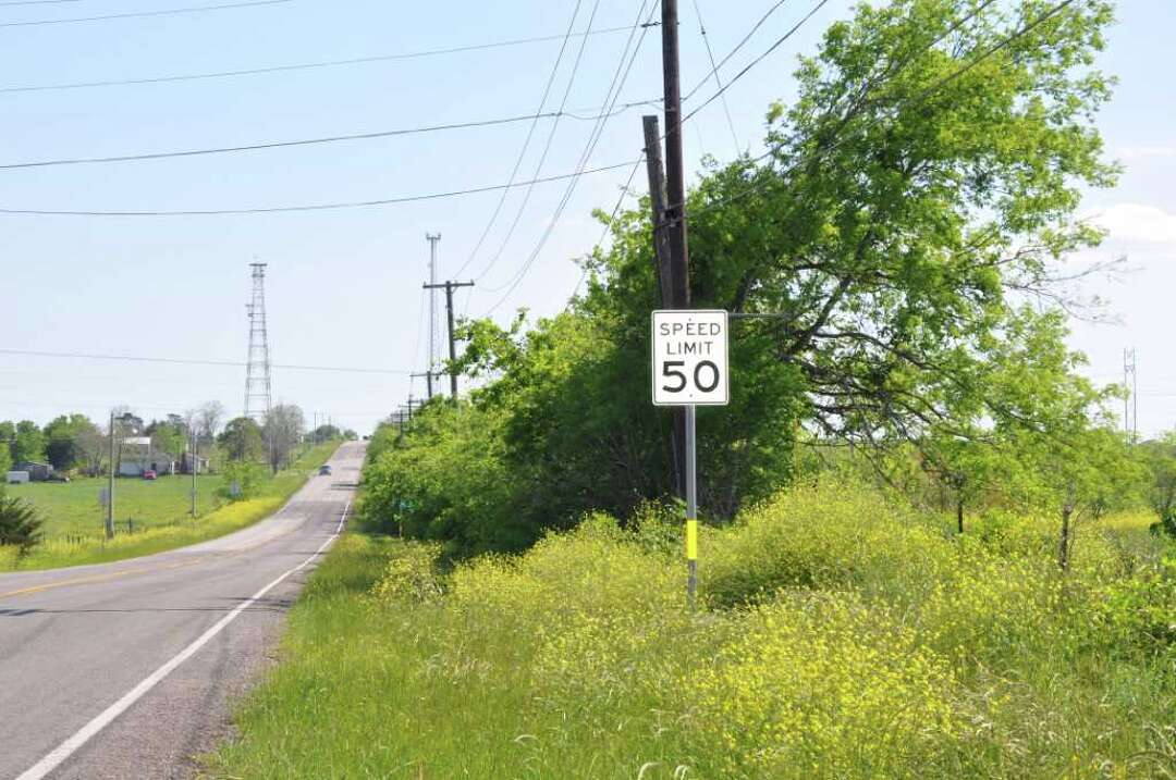 Leafy bastard cabbage blots out Texas wildflowers