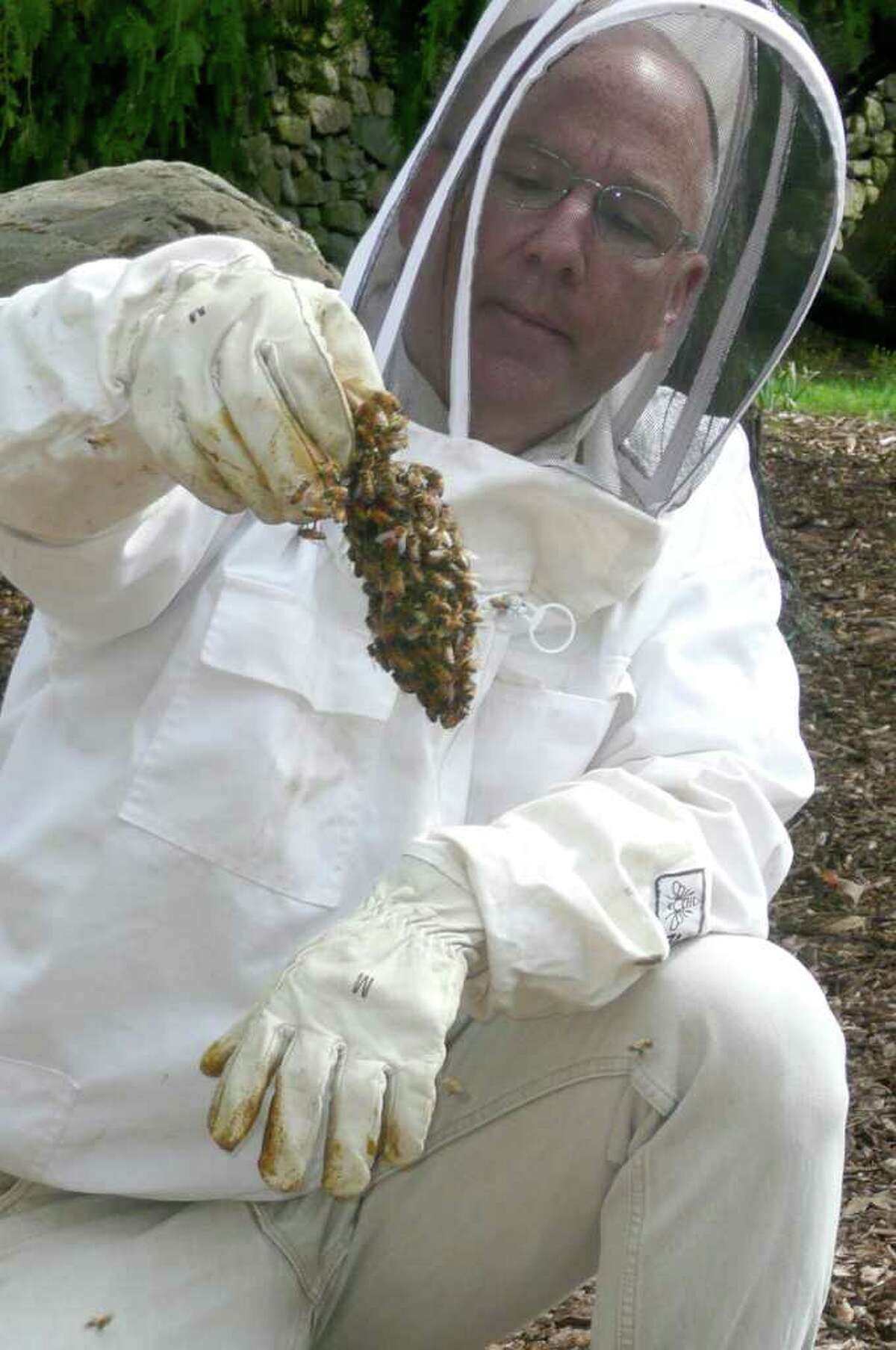 A buzz about town: GEC brings in a new population of honey bees for its ...