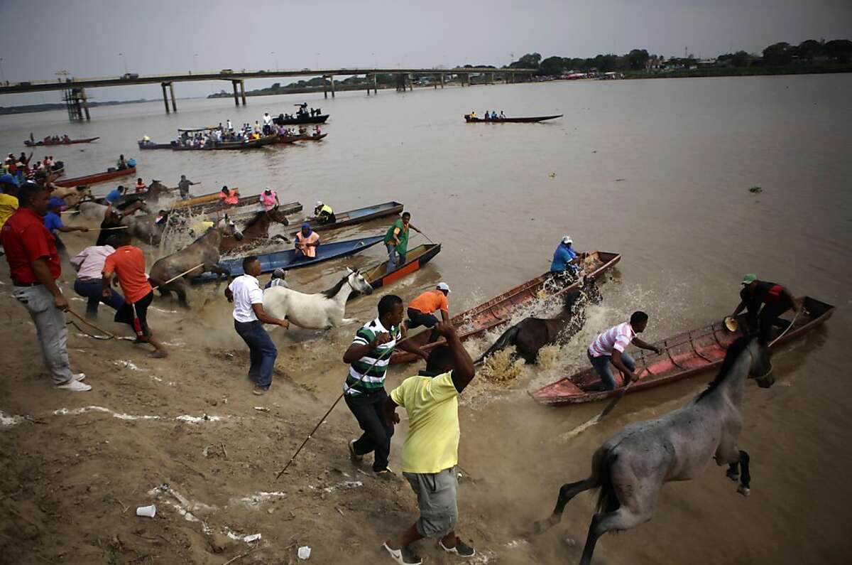 In this April 1, 2012 photo, men and horses jump into the Apure River as they compete in a race across the waterway in San Fernando de Apure, Venezuela. Competitors on canoes race across the Apure River as their horses swim to commemorate a 1819 battle in which soldiers led by independence heroes Simon Bolivar and Gen. Jose Antonio Paez routed Spanish troops in a surprise attack after crossing the waterway.