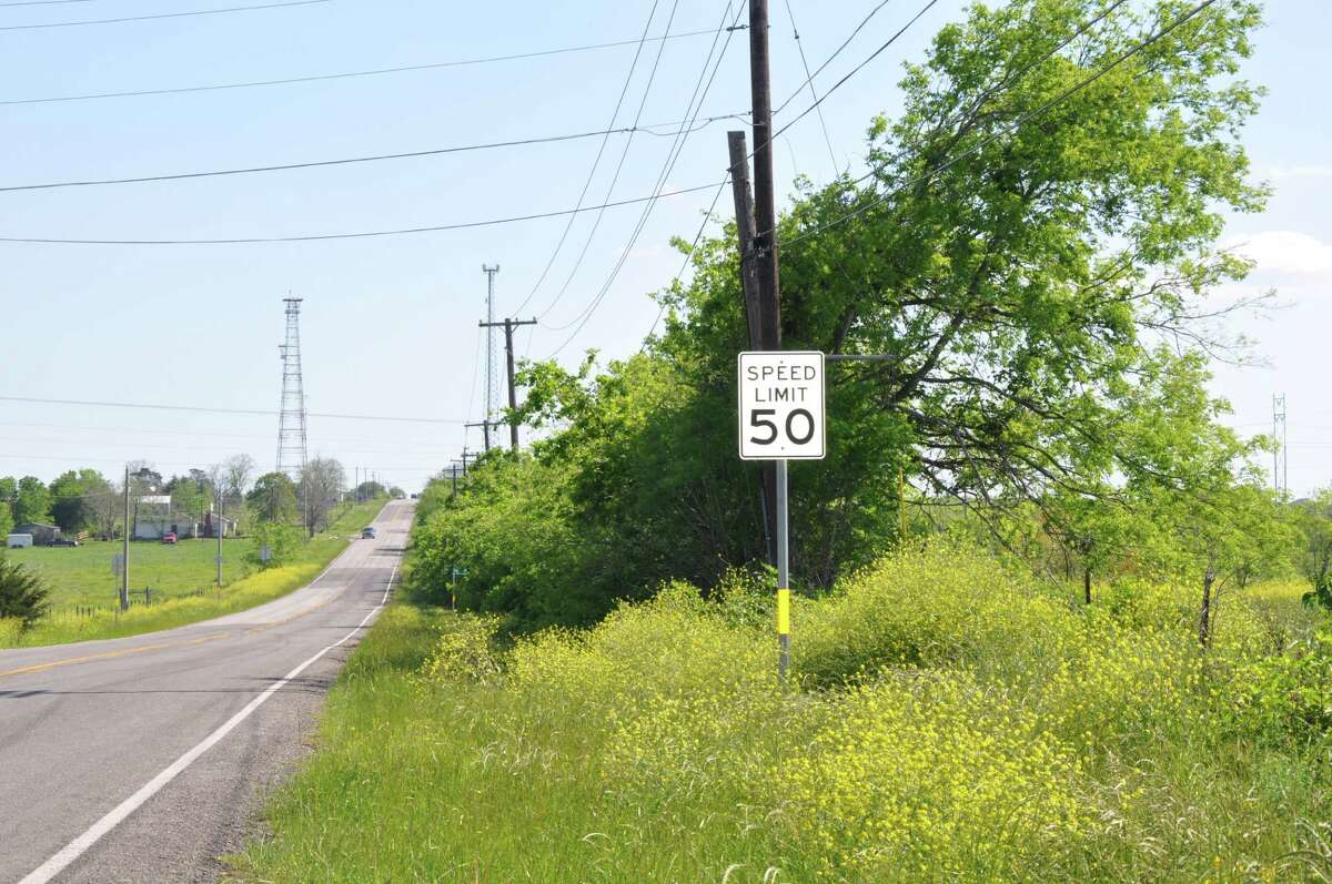 Bastard cabbage gains ground among wildflowers