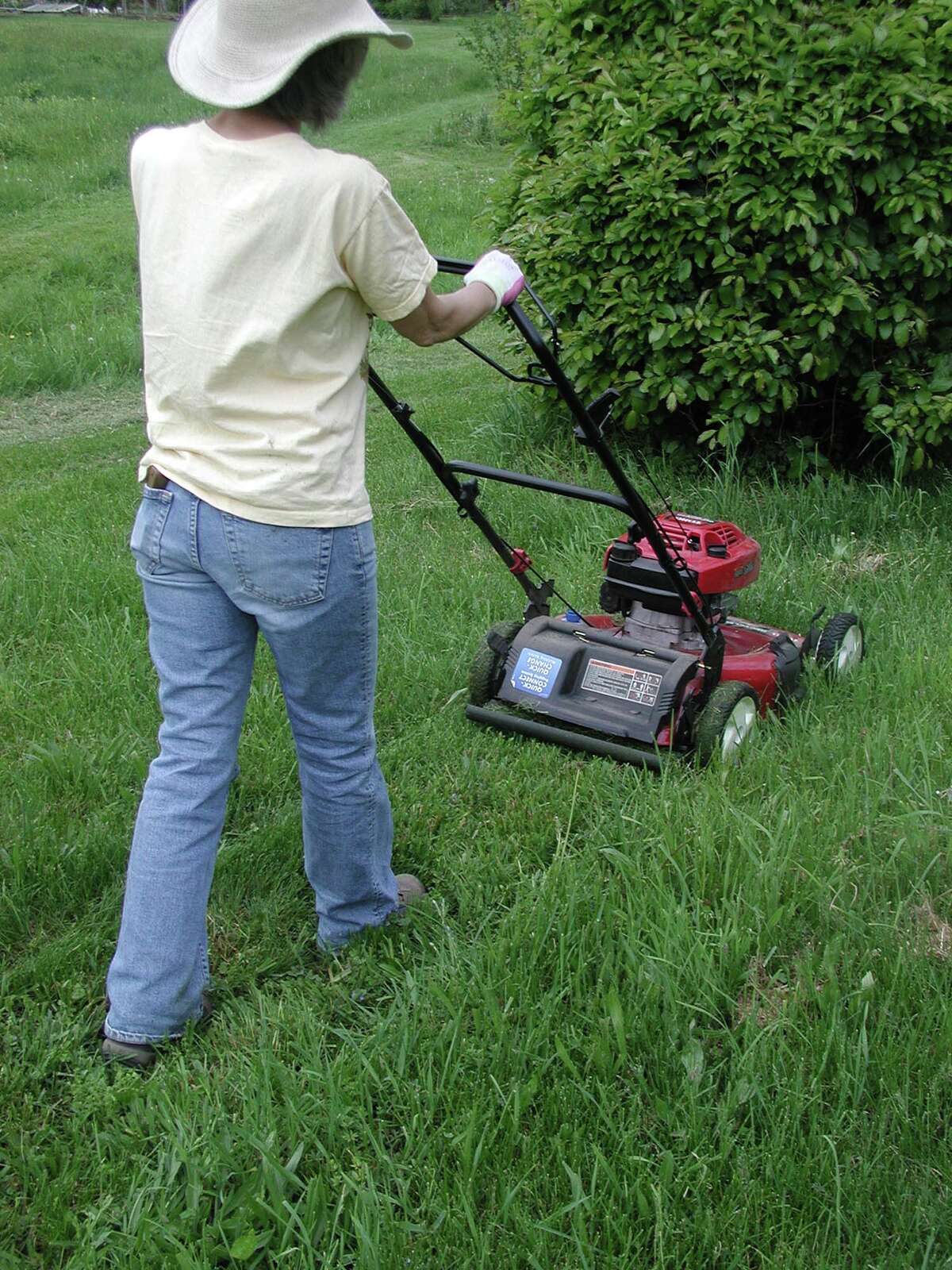 Use a mulch mower so grass clippings go back into the soil.