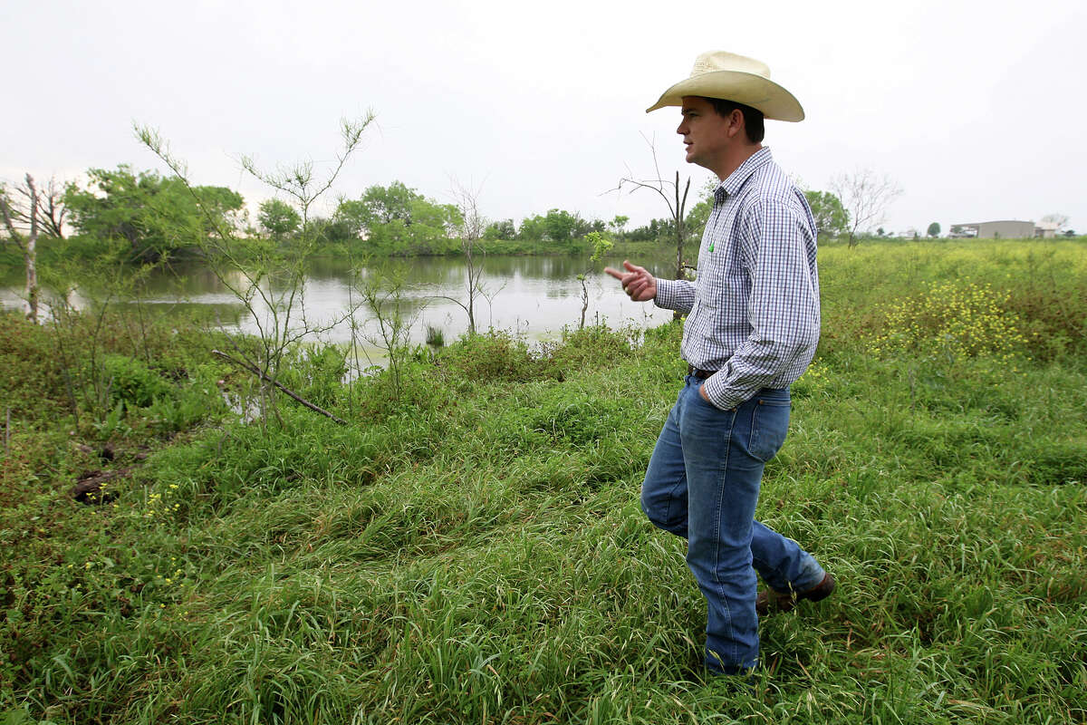 Rancher Ty Keeling checks out a stock pond on leased land near Pleasanton, Texas, Tuesday, March 27, 2012. Last year, Keeling took a hit on his cattle due to the drought. On an average year, feeder cattle are expected to gain a pound per day on pastureland. Last year his stock was gaining around 2/10th of a pound on some of the pastures. With the recent rains, he expects a two-pounds a day rate.