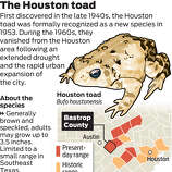 Stable habitats sought for endangered Houston toads - Houston Chronicle
