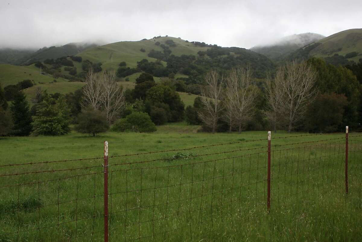 George Lucas will not be building a 270,000 square foot digital media production compound on Grady Ranch in San Rafael, Calif., just past the cyprus trees seen in the background on Friday, March 30, 2012.