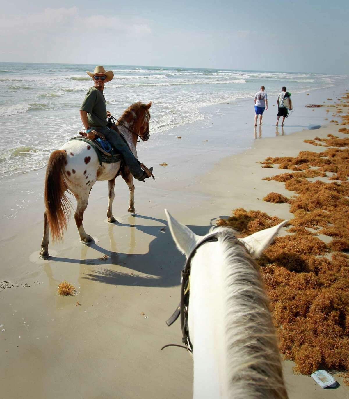 Albums 101+ Pictures horse riding on the beach south padre island Updated