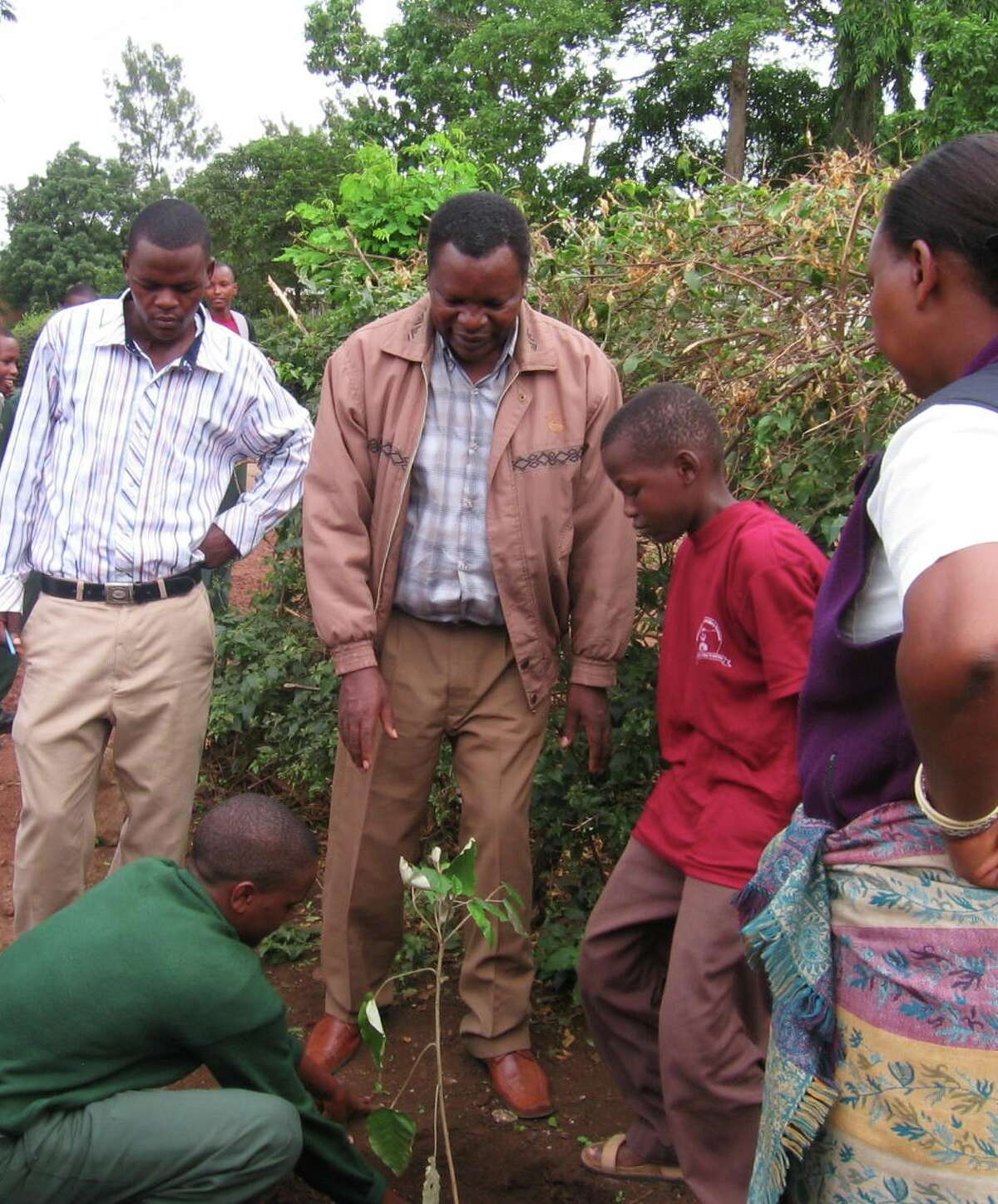 for Conservation aims to preserve national tree of Tanzania