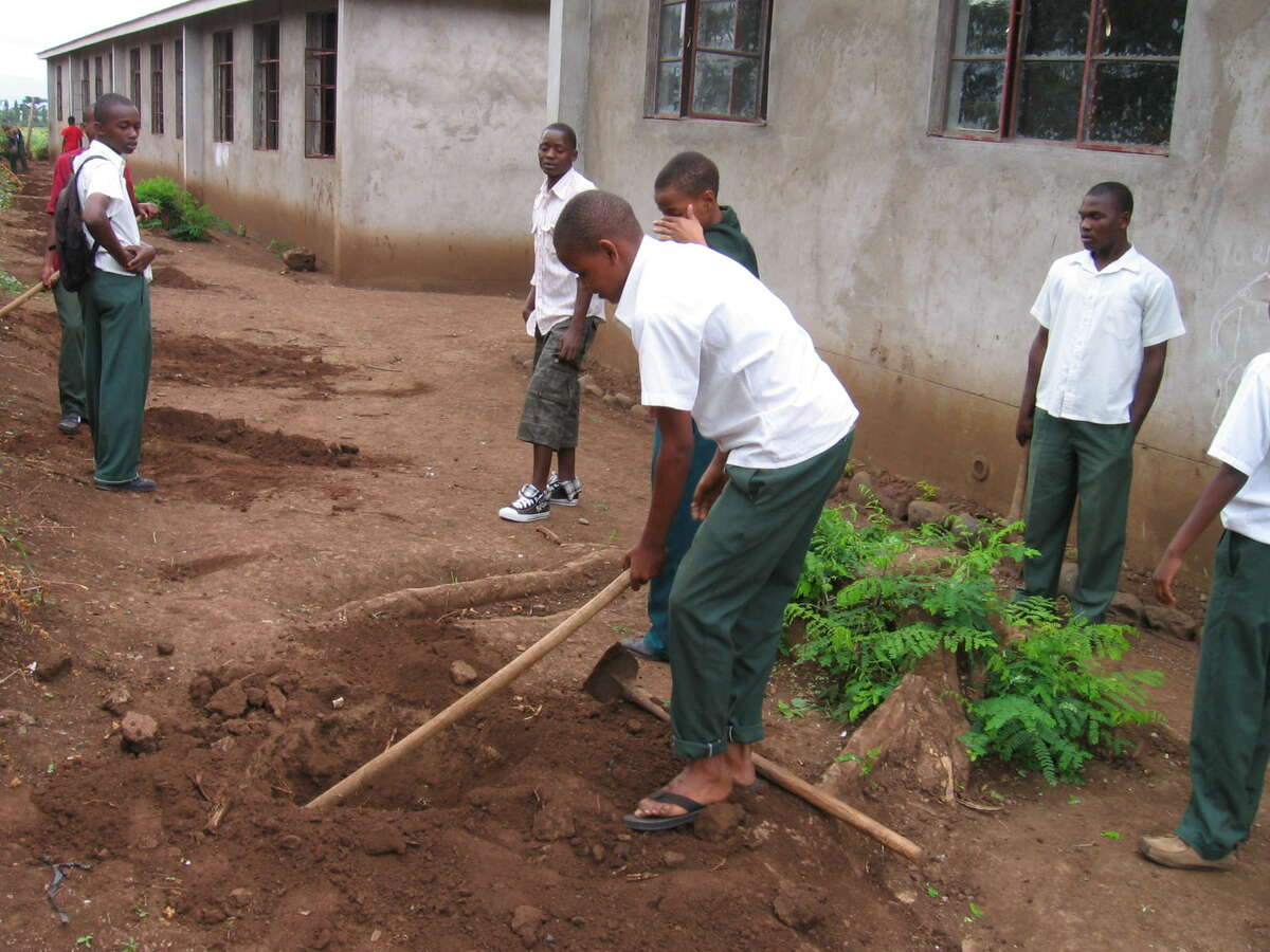 for Conservation aims to preserve national tree of Tanzania