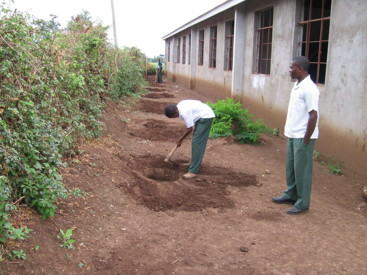 for Conservation aims to preserve national tree of Tanzania