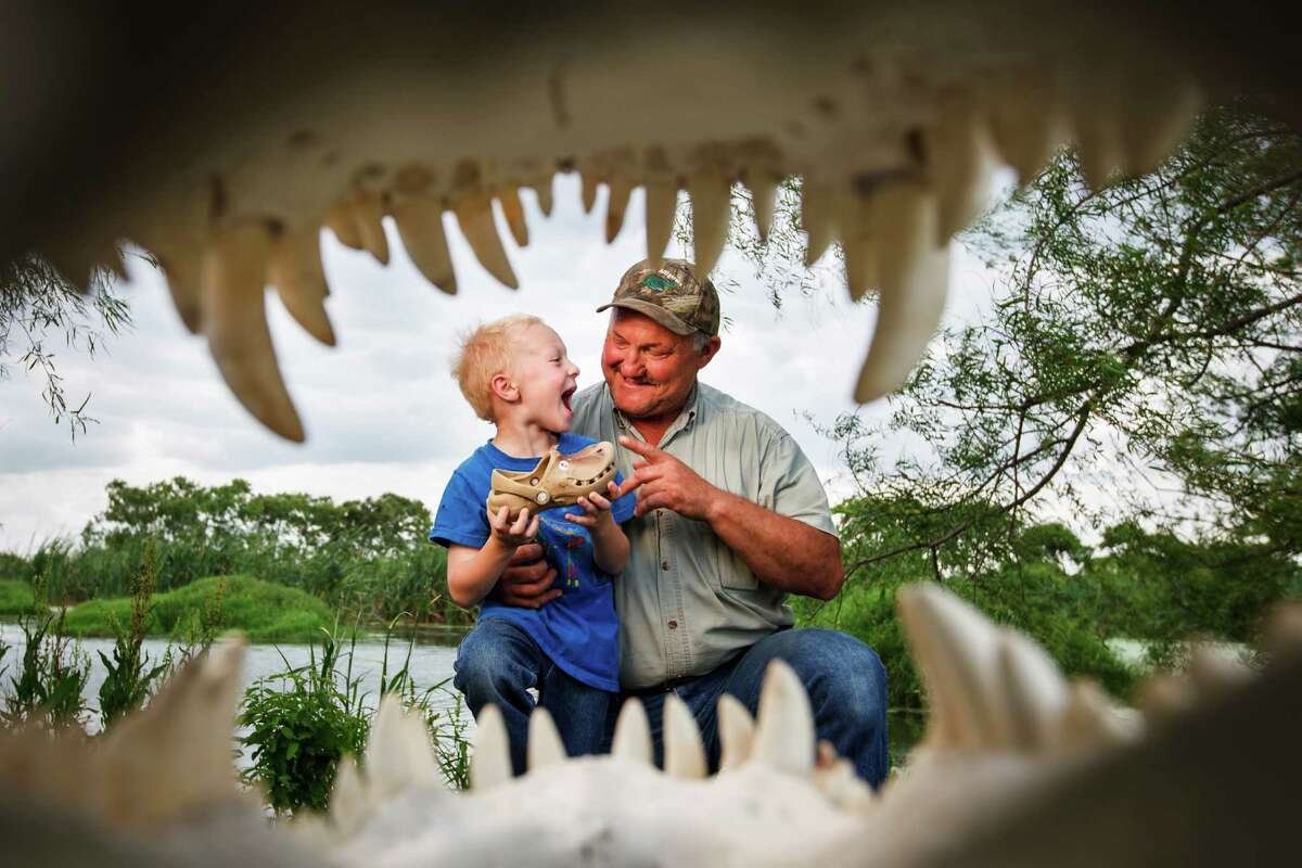 Larry Janik touches his grandson Hunter Janik's, 6, alligator shoe as they are seen through an alligator skull from a 13ft-4in 1200lb alligator at Janik Alligators in El Campo. Larry Janik is a veteran gator wrangler, the guy people call when a gator is found in a pond or on the freeway. "Handling alligators is my golf game, it's what I love to do," Janik said. I do it for the excitement. It's a way to make money and do something I love."