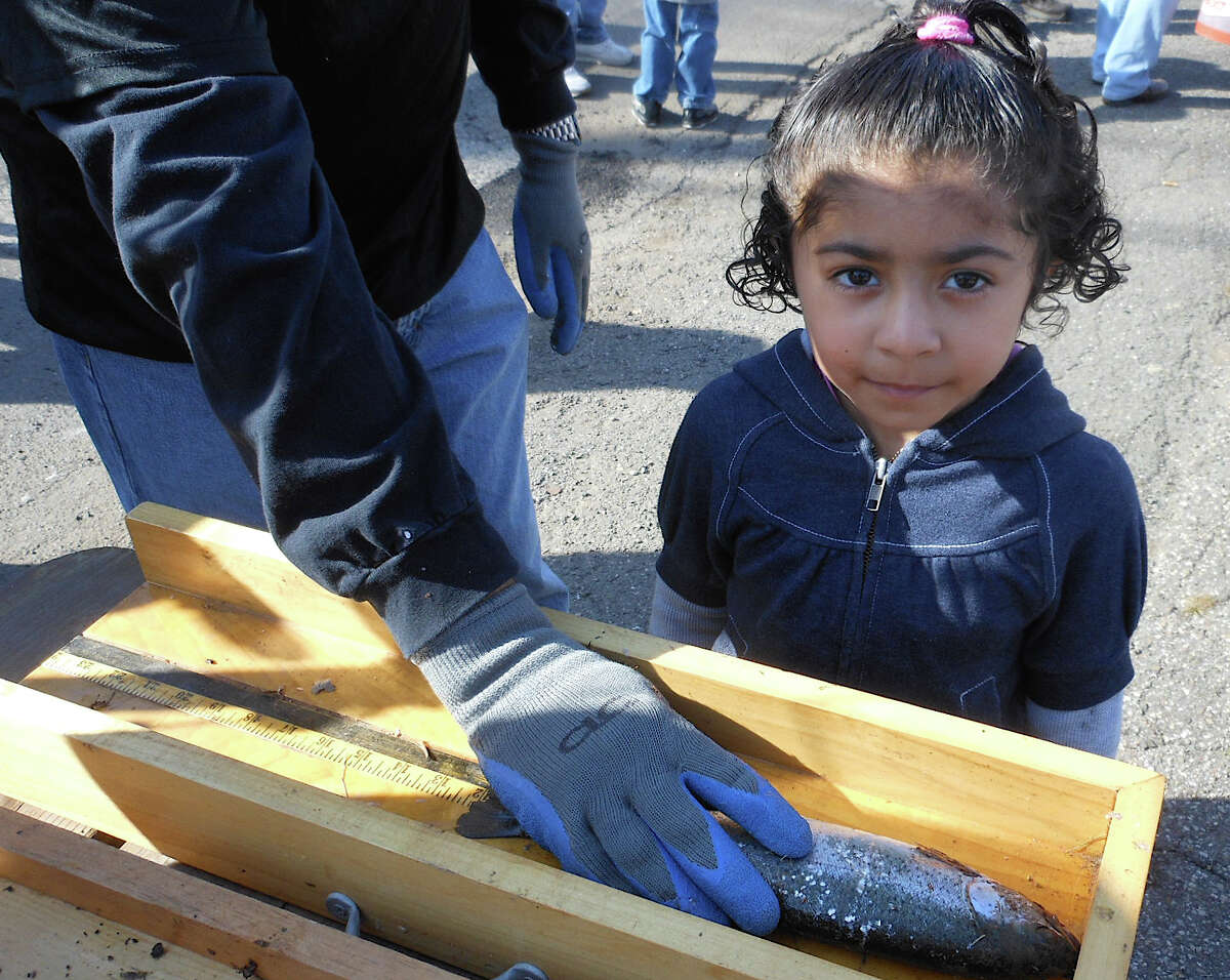 Seven-year-old Gianna Padillo stands beside the 12-inch rainbow trout she caught at the annual Fairfield PAL Trout Derby on Saturday morning in Gould Manor Park. Saturday.