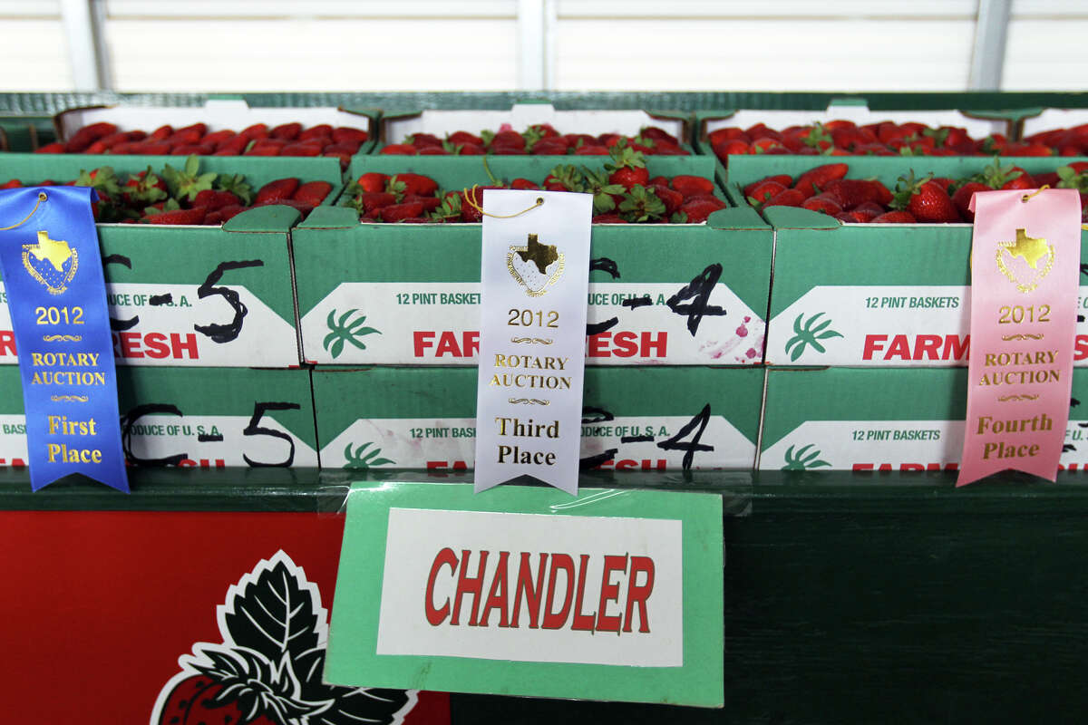 It's strawberry time in Poteet, y'all