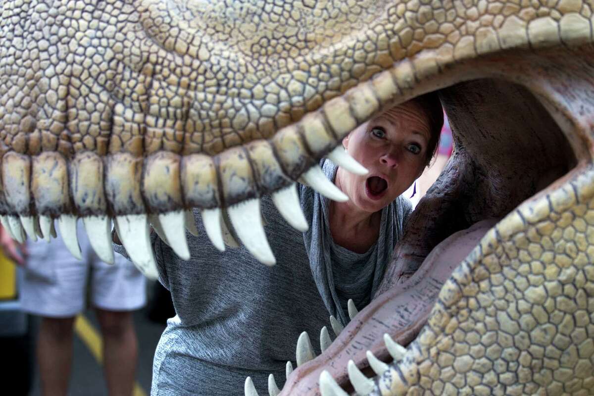 Deborah Cannon, President and CEO, Houston Zoo, poses for a photo inside the jaws of a Tyrannosaurus Rex during the unloading of more than a dozen animatronic dinosaurs in preparation for 'Orkin presents DINOSAURS! at the Houston Zoo' Monday, April 16, 2012, in Houston. The exhibit is scheduled to open May 4. DINOSAURS! debuted at the Houston Zoo in 2010 and drew more than 800,000 people from Memorial Day to the end of October. This time around, the exhibit will feature 18 dinosaurs, including the return of the popular T-Rex. All the dinosaurs on display are ones that lived in Texas, said Brian Hill, zoo spokesman.