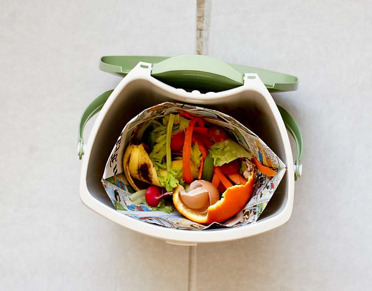 Earth Day compost origami Step
