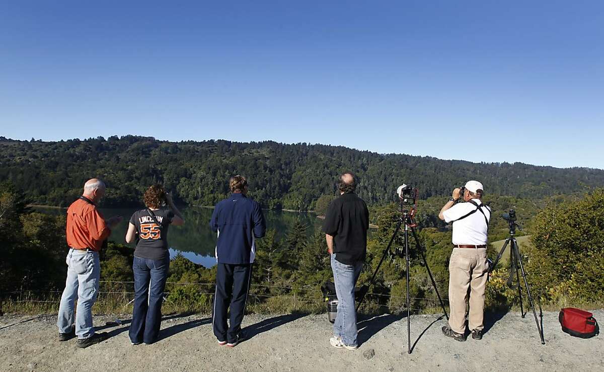 Birdwatchers flock to Crystal Springs Reservoir hoping to catch a glimpse of a pair of bald eagles nesting by the lake near Hillsborough, Calif. on Friday, April 20, 2012.