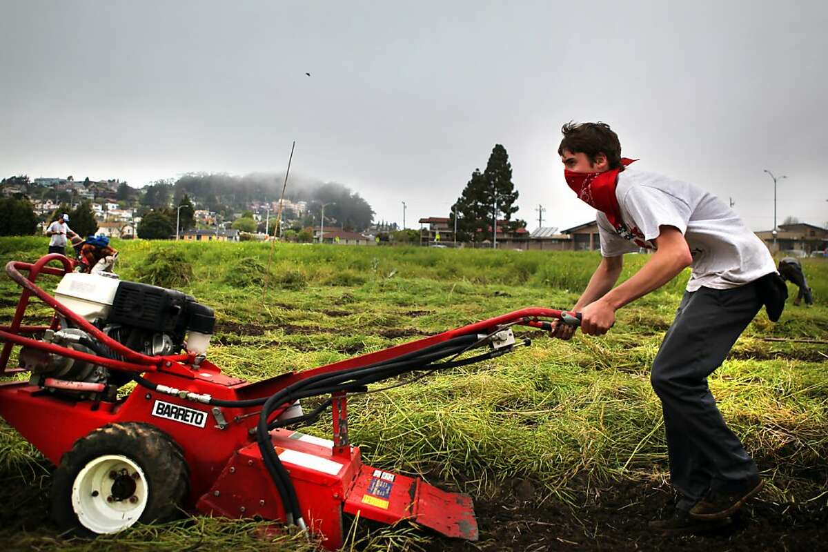 A masked occupier pushes a large rototiller across a patch of arable land at the intersection of Buchanan and Jackson in Albany on Sunday. Several hundred people occupied a tract of arable land in Berkeley on Sunday where they tilled soil and planted seeds for a community garden.
