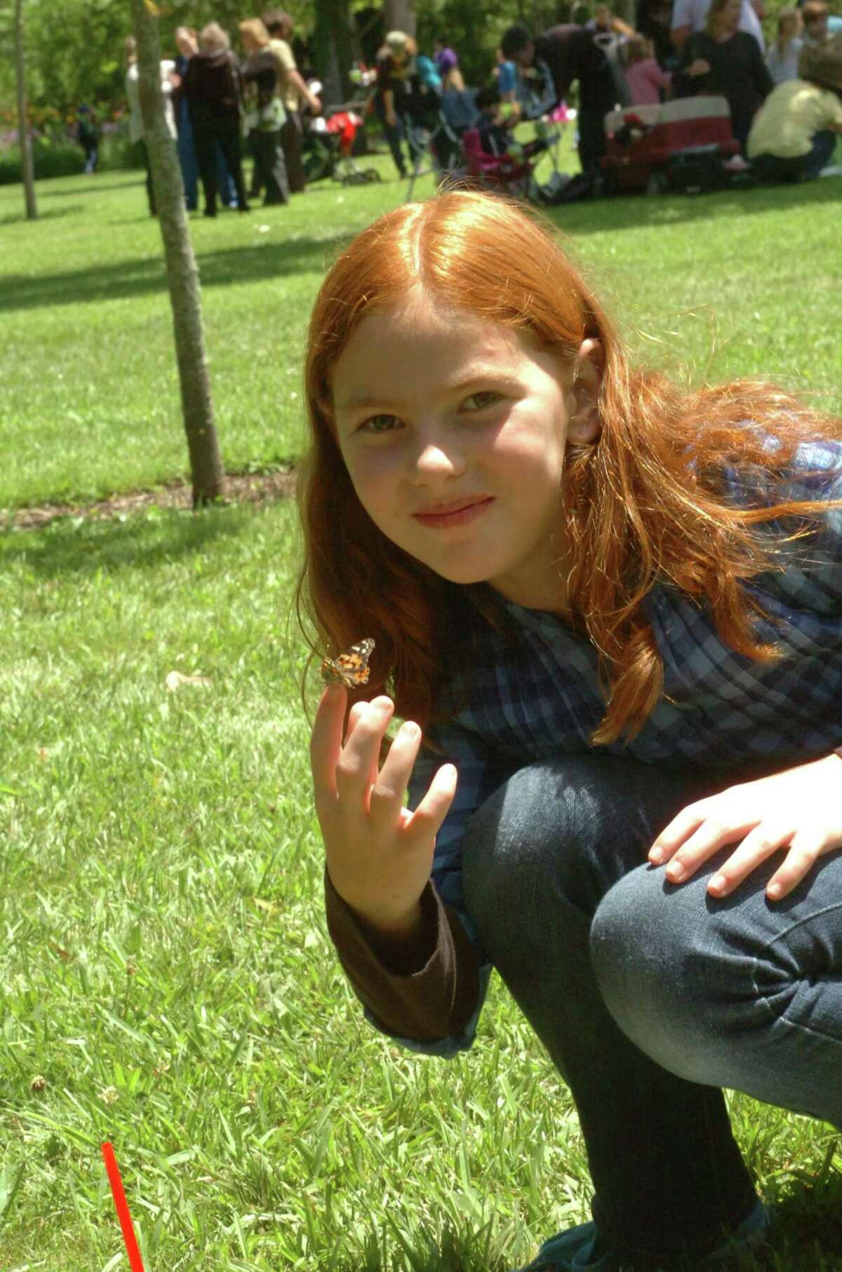 Butterflies arrive in Beaumont