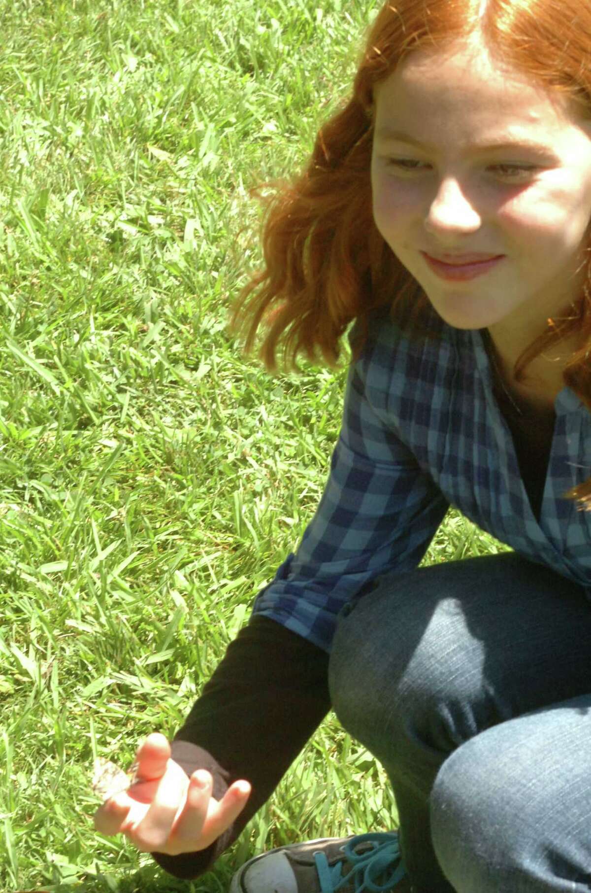 Butterflies arrive in Beaumont