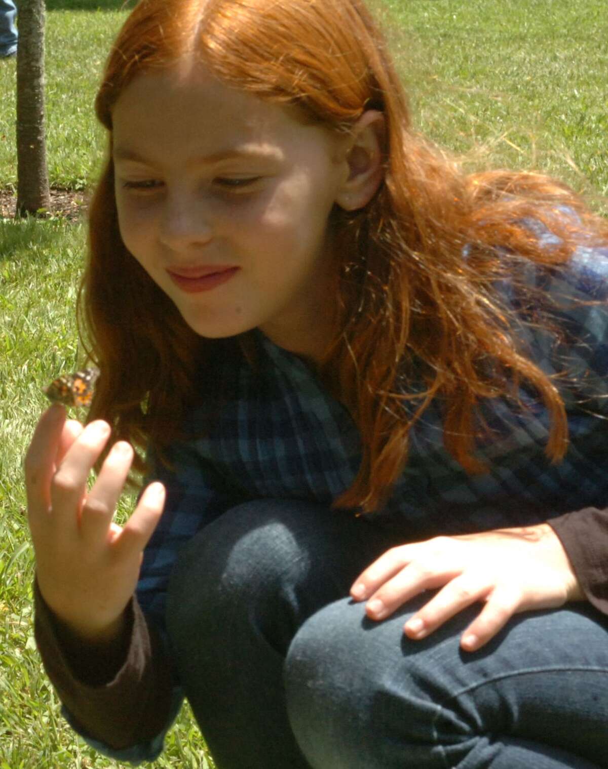 Butterflies arrive in Beaumont