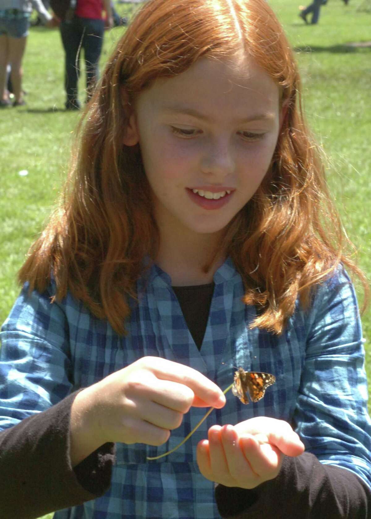 Butterflies arrive in Beaumont