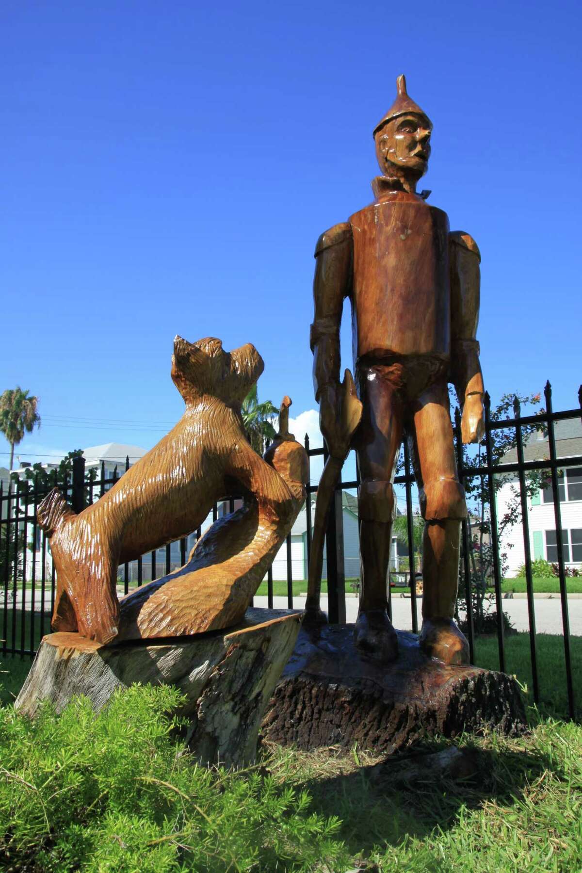 Take the Galveston Tree Sculpture Tour Dozens of tree Sculptures created from trees ruined by Hurricane Ike can be seen through some of Galveston's historic neighborhoods.  Download a brochure to take the tour yourself here.
