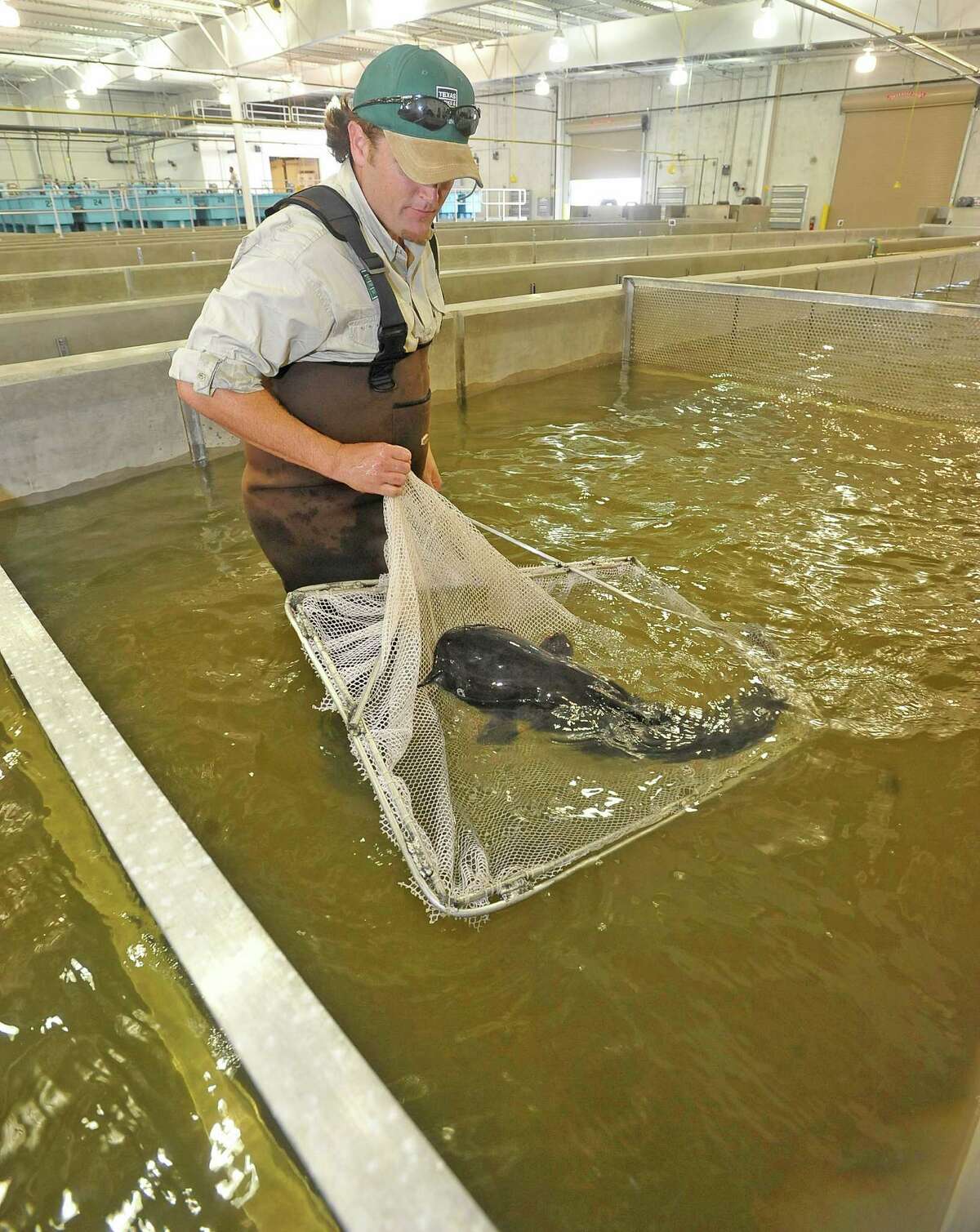 New hatchery will load Texas waters with millions of fish