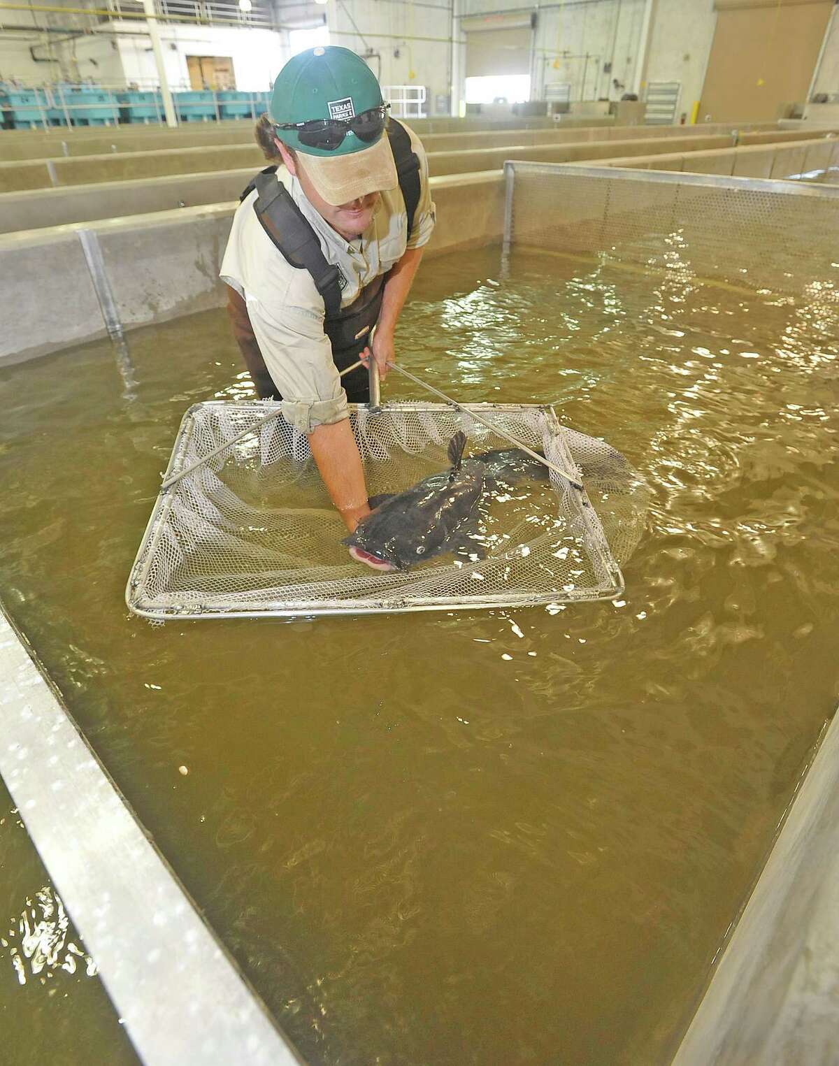 New hatchery will load Texas waters with millions of fish