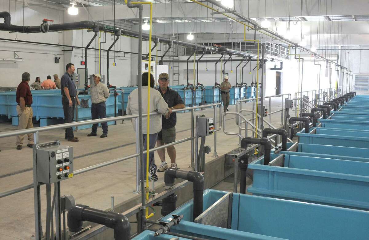 New hatchery will load Texas waters with millions of fish