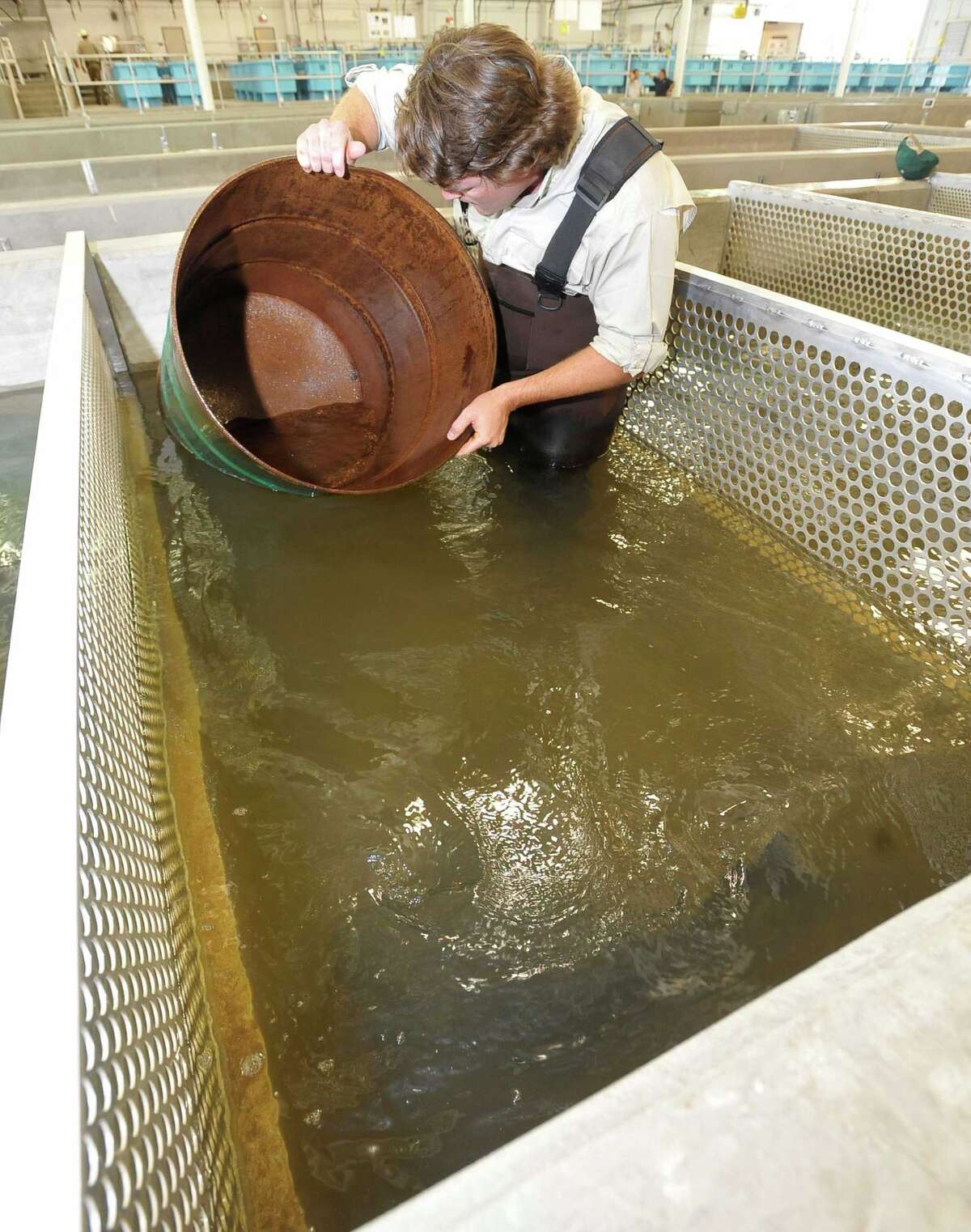 New hatchery will load Texas waters with millions of fish