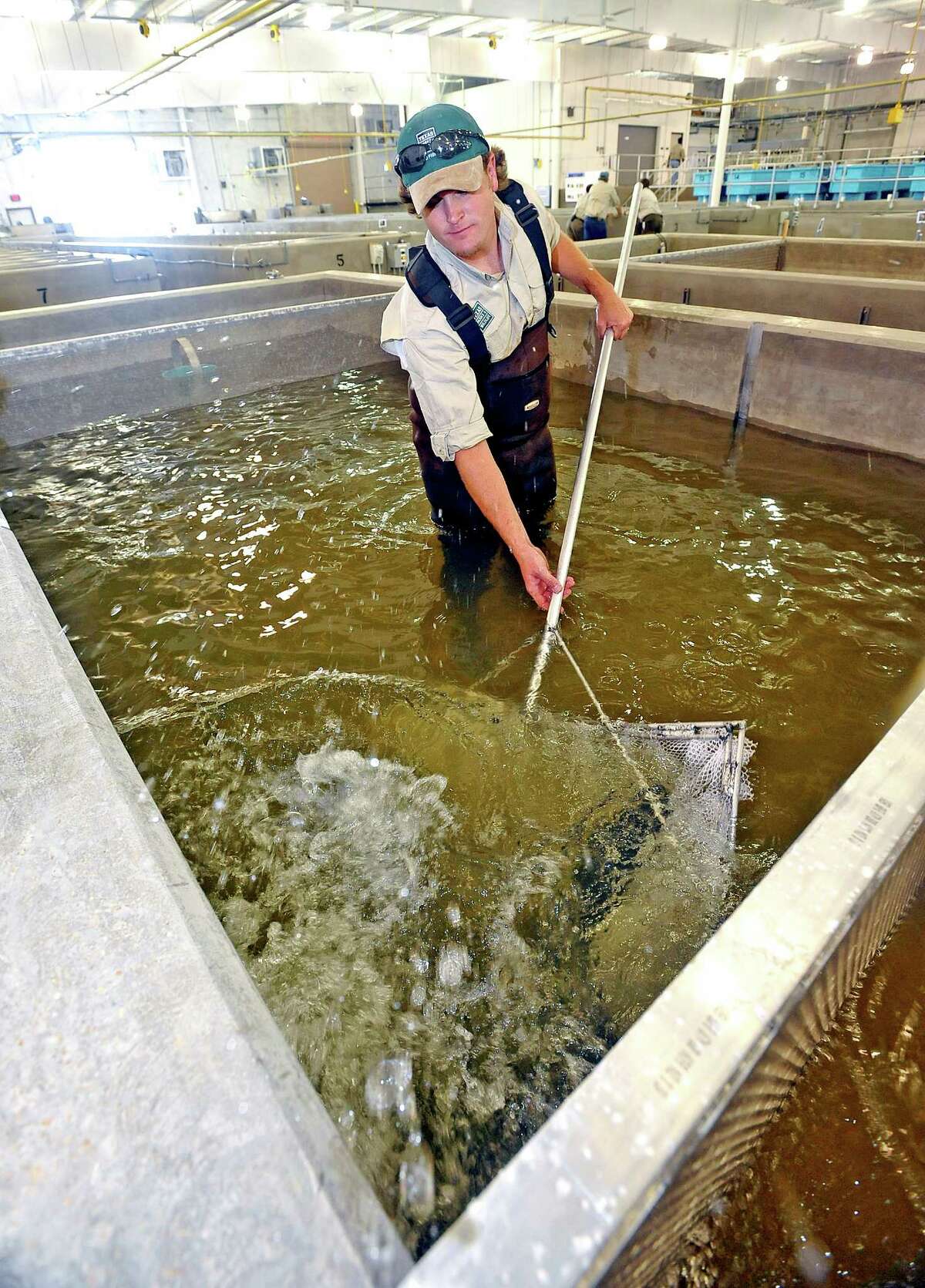 New hatchery will load Texas waters with millions of fish
