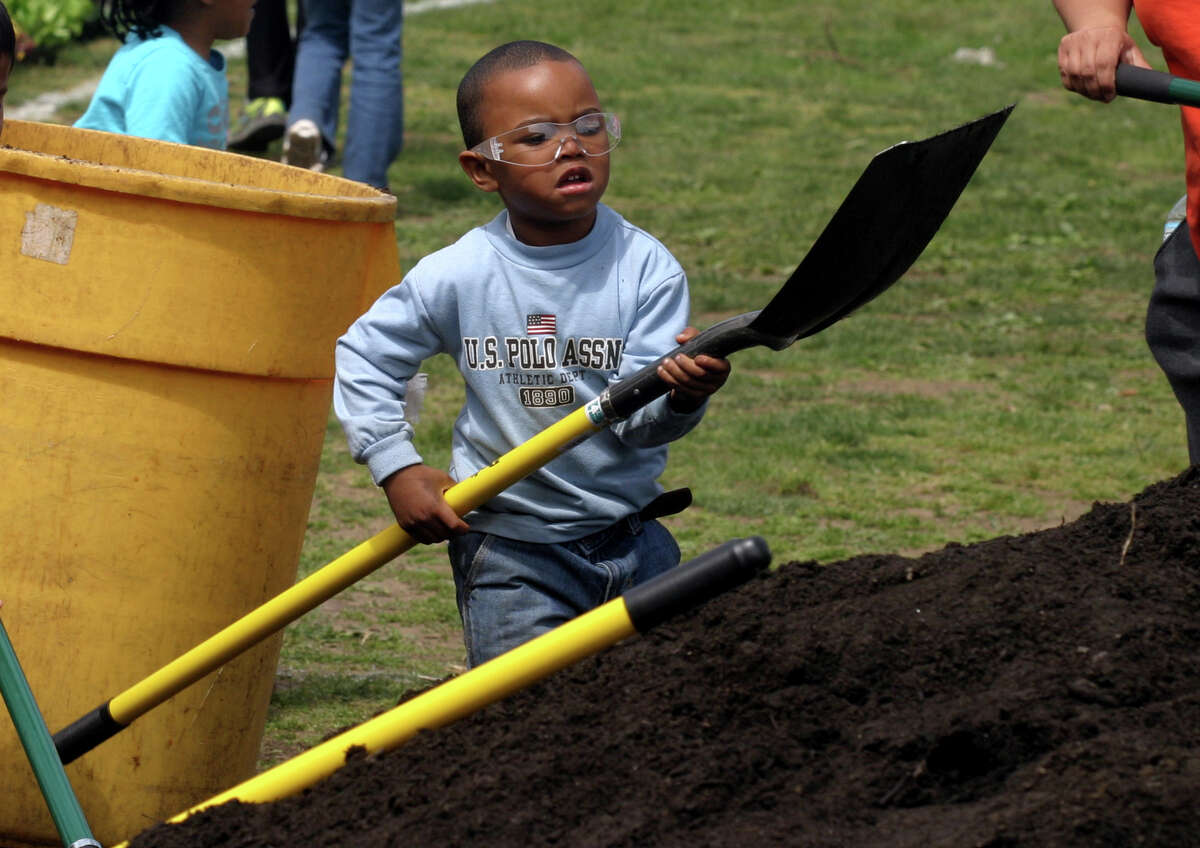 Semaj Simmons, 4, shovels mulch at James Curiale Elementary School, as he helps build an Asian herb garden in the back of the school in Bridgeport, Conn. on Saturday April 28, 2012.