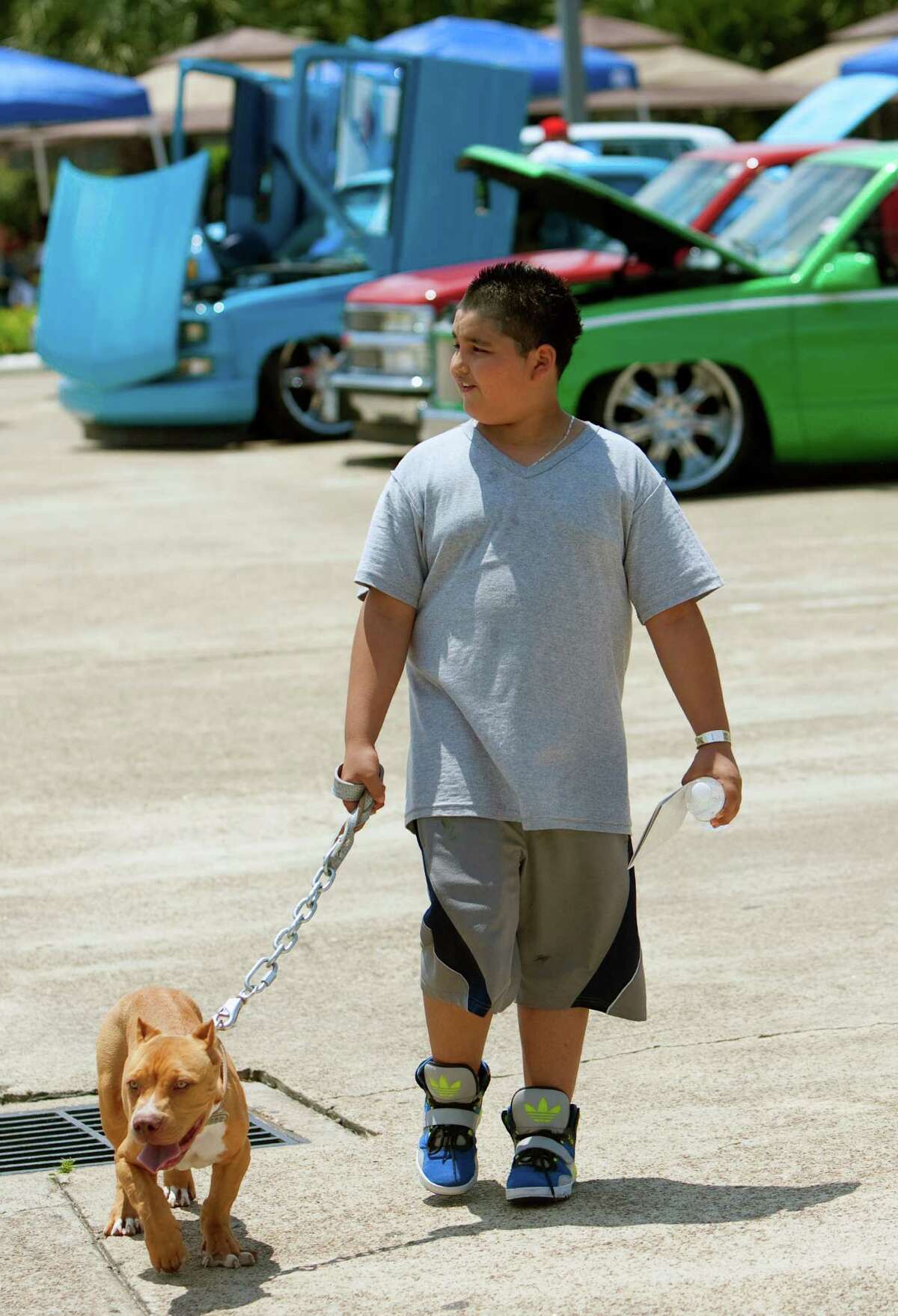 Alexis Cardenas, 11, walks with his dog Lionking, during Houston's 2nd Annual American Bully Dog & Custom Car Expo Saturday, April 28, 2012, in Houston.