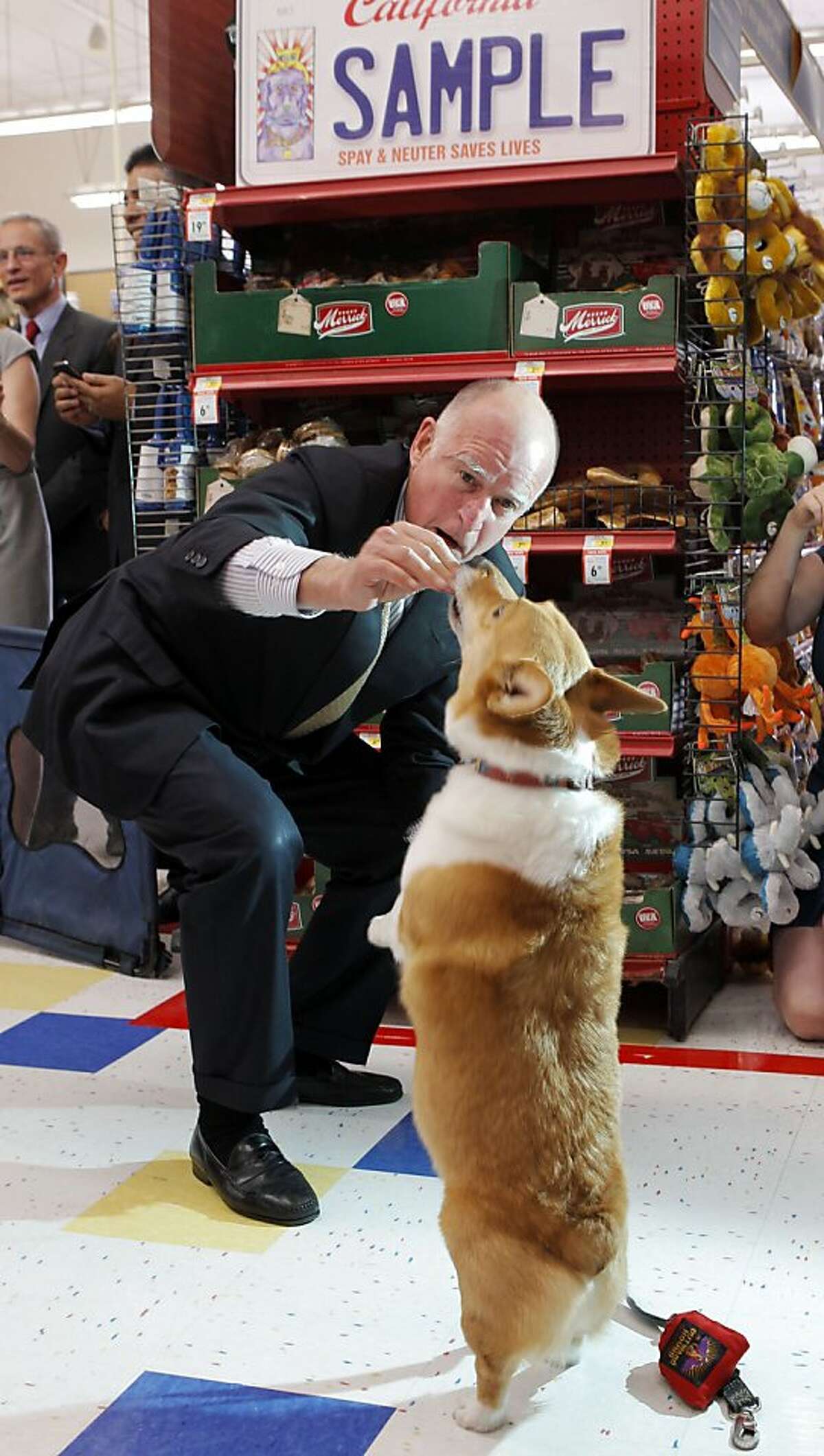 California Gov. Jerry Brown gives his dog, Sutter Brown, food at a Petco store in Los Angeles Wednesday, May 2, 2012. Gov. Brown was promoting sales of speciality license plates that will be used for low-cost spay and neuter programs around the state. Supporters say that will help reduce the pet population and decrease the euthanasia rate (AP Photo/Nick Ut)