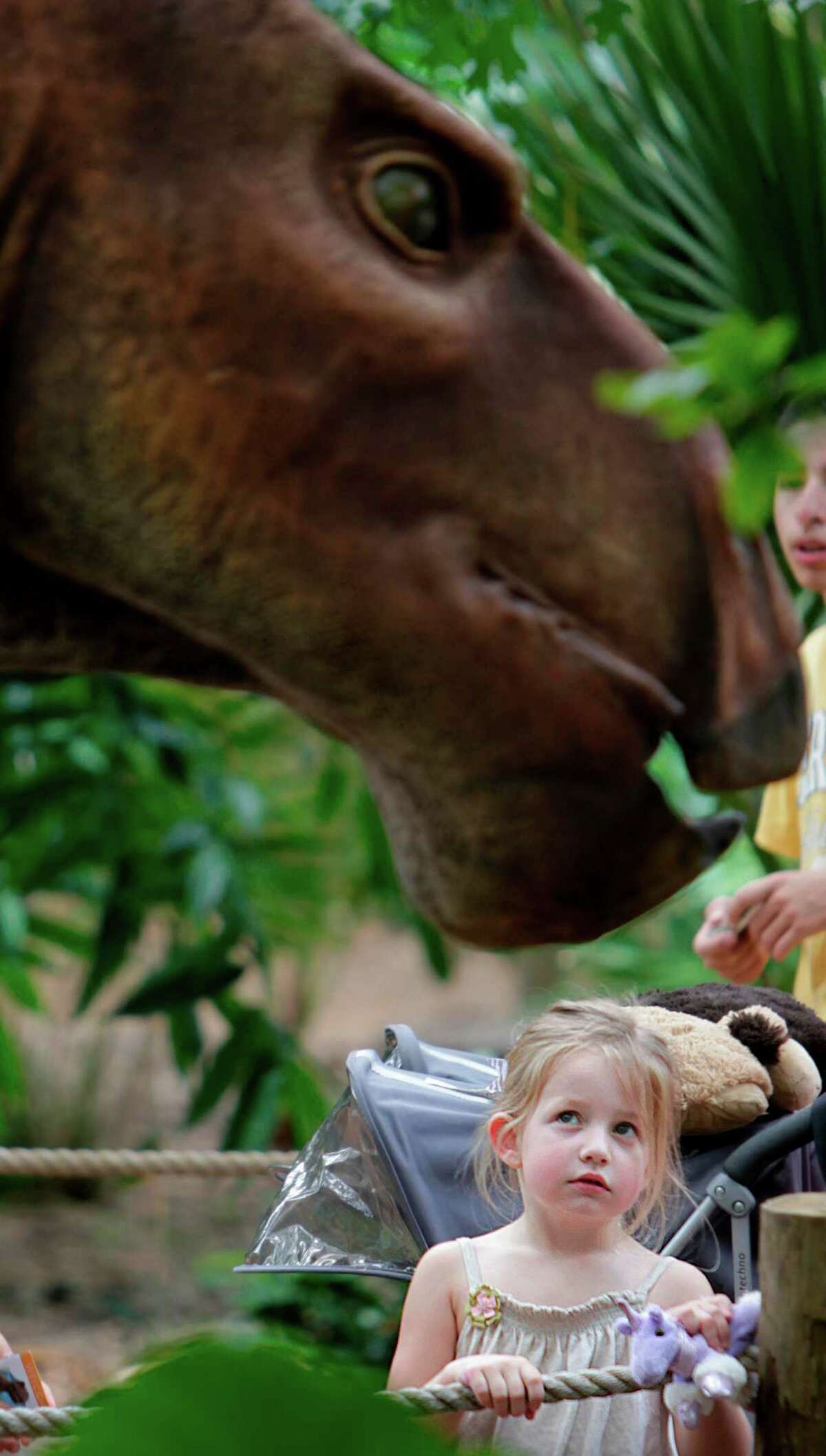Peyton Holland, 4, cautiously approaches a Protohadros dinosaur display as she visits the DINOSAURS! At the Houston Zoo exhibit on Friday, May 4, 2012, in Houston. The Protohadros is the oldest known duck-billed dinosaur and was discovered in North-Central Texas in 1995.