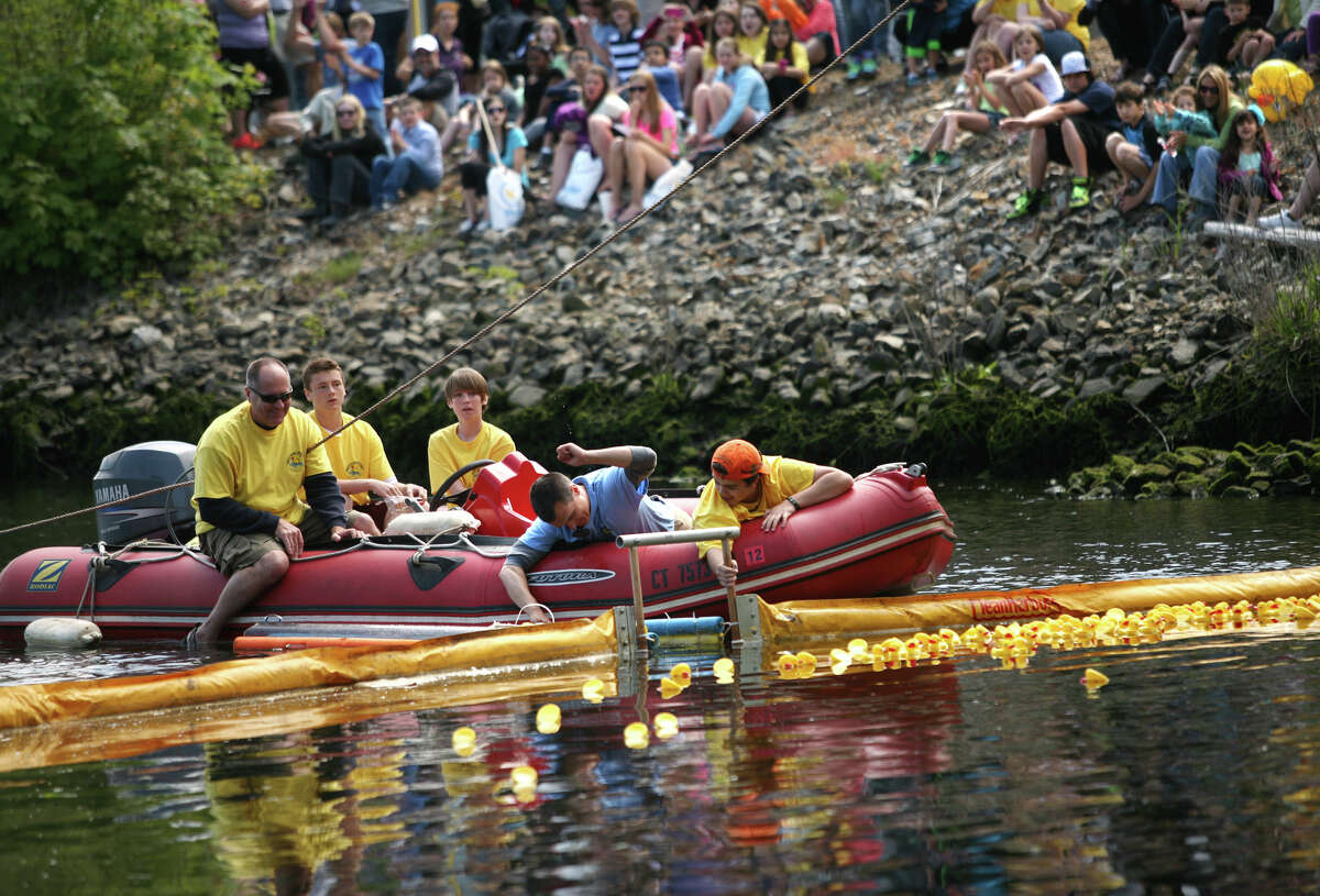 Milford Harbor Duck Race