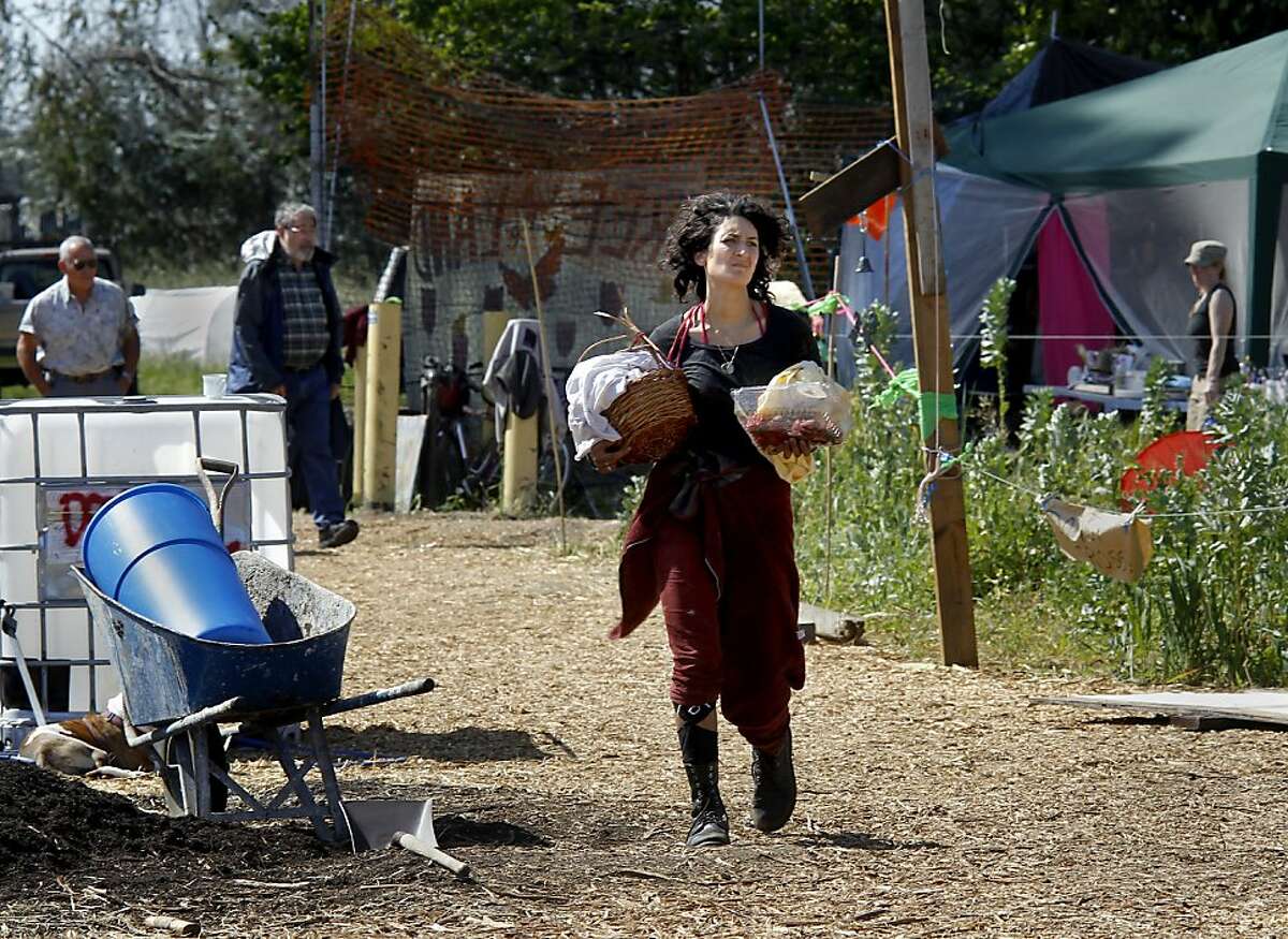 Neighbors and supporters continue to bring water and food to the garden. Despite rumors of a crackdown on the garden planted by Occupy forces at UC's experimental garden facility in Albany, Calif., farming went on although the water is still shut off.