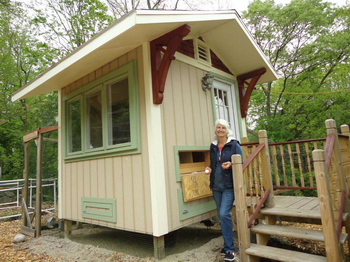 Tour highlights why chickens are crossing the road into Westport