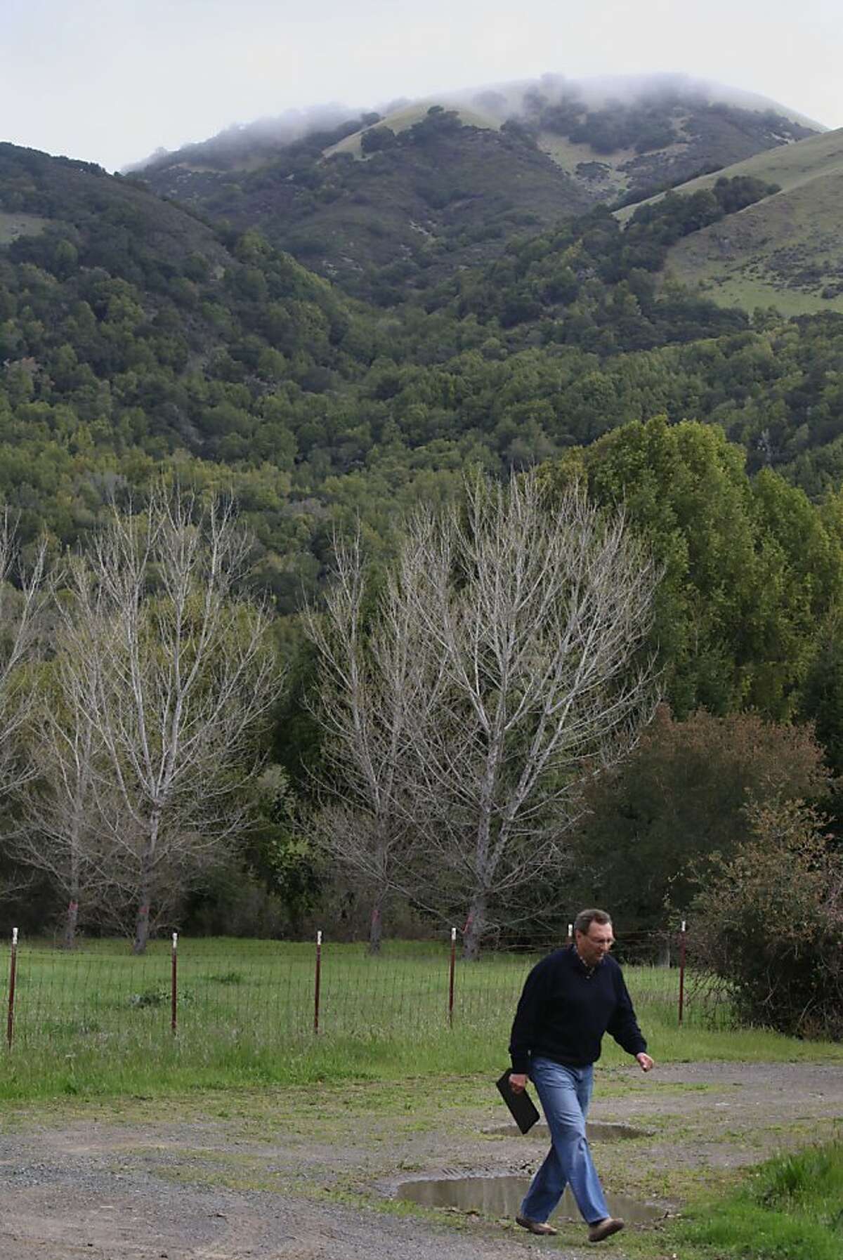 George Lucas will be building a 270,000 square foot digital media production compound on Grady Ranch in San Rafael, Calif., just past the cyprus trees seen in the background as neighbor and environmental consultant Carl Fricke walks on the planned driveway to the complex on Friday, March 30, 2012.