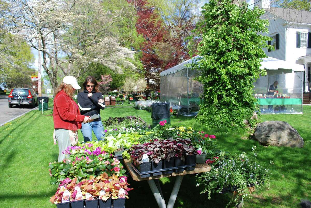 Dogwood Festival blossoms under sunny skies today