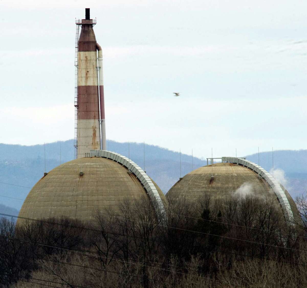The Indian Point Nuclear Power Plant on the banks of the Hudson River March 22, 2011 in Buchanan, NY. The Indian Point station, comprised of two operating nuclear reactors, sits atop the Ramapo fault line, causing concern for some residents in the wake of the Japan disaster. AFP PHOTO / DON EMMERT (Photo credit should read DON EMMERT/AFP/Getty Images)