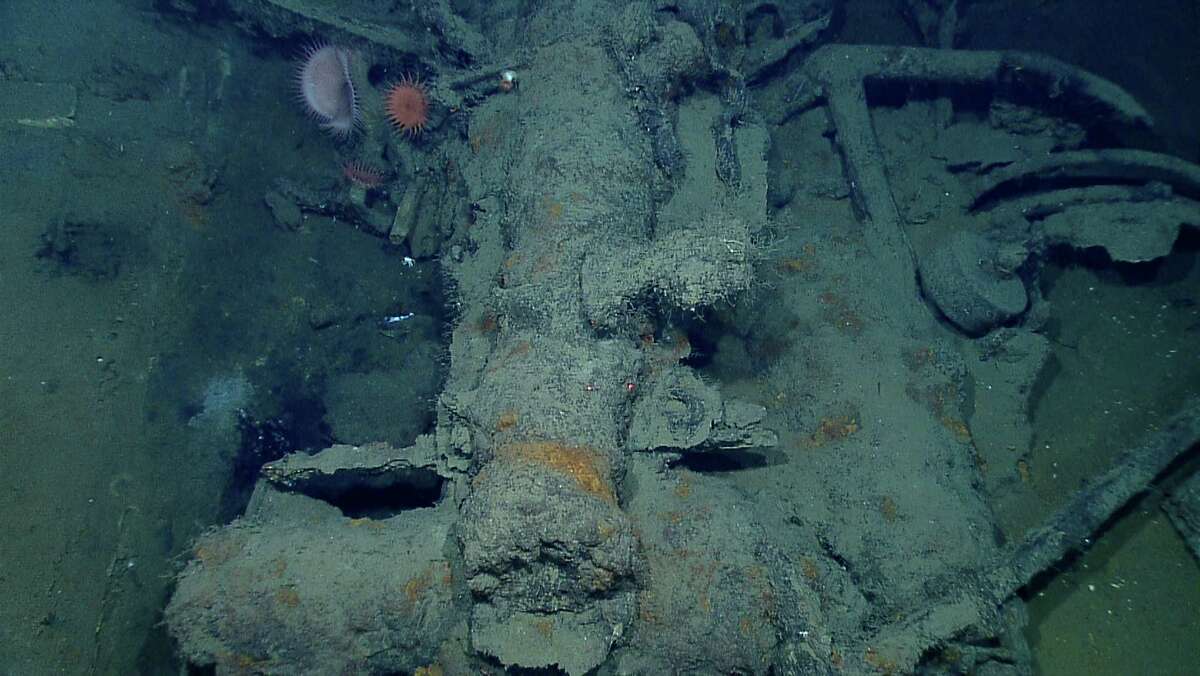 News of the world in photos: Centuries old shipwreck found