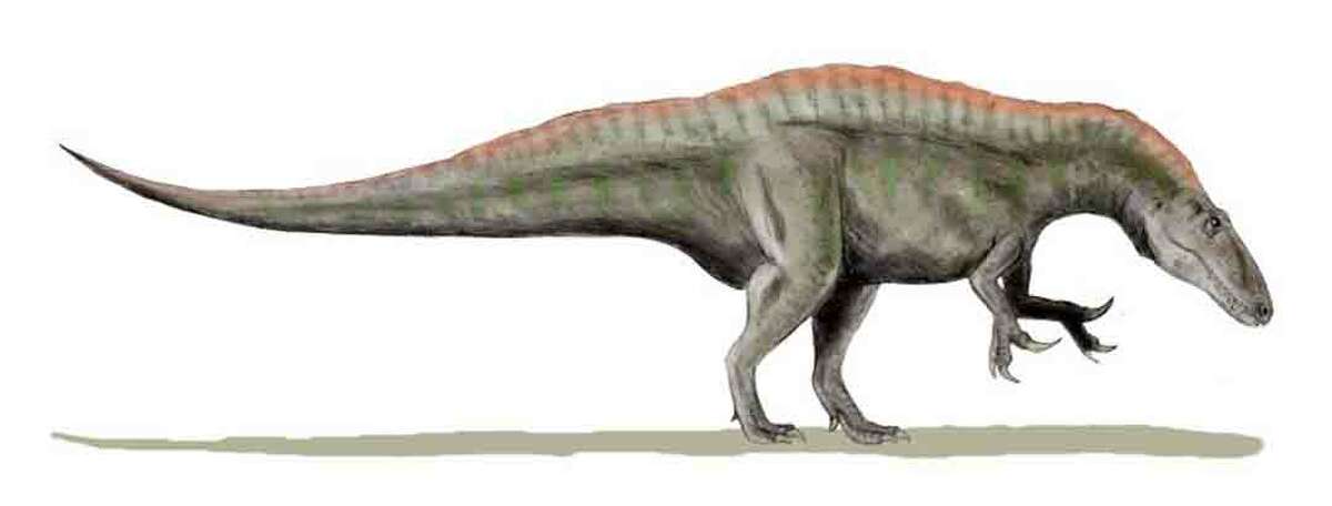 dinosaur with two heads