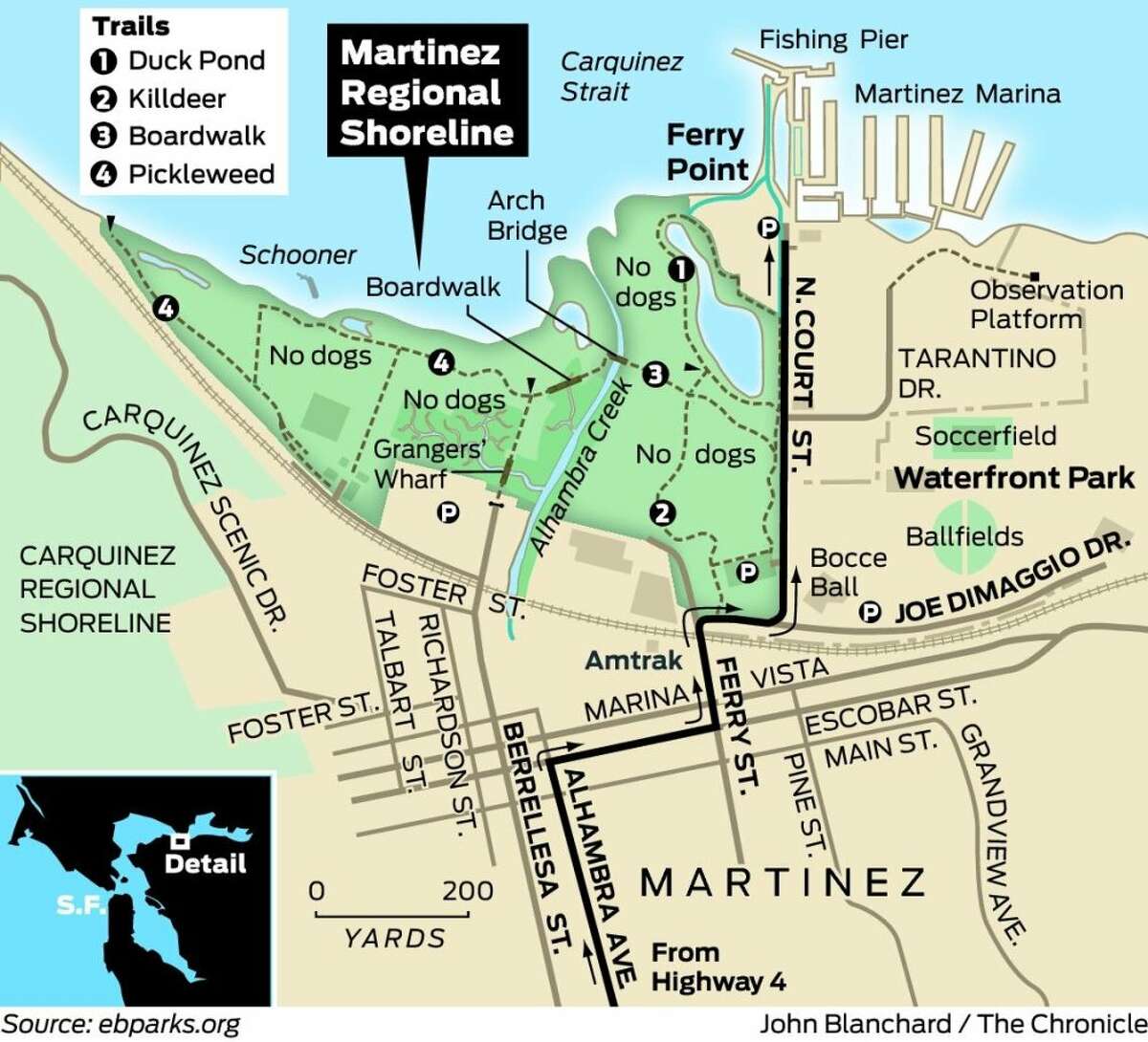 Sunday Drive Martinez shore