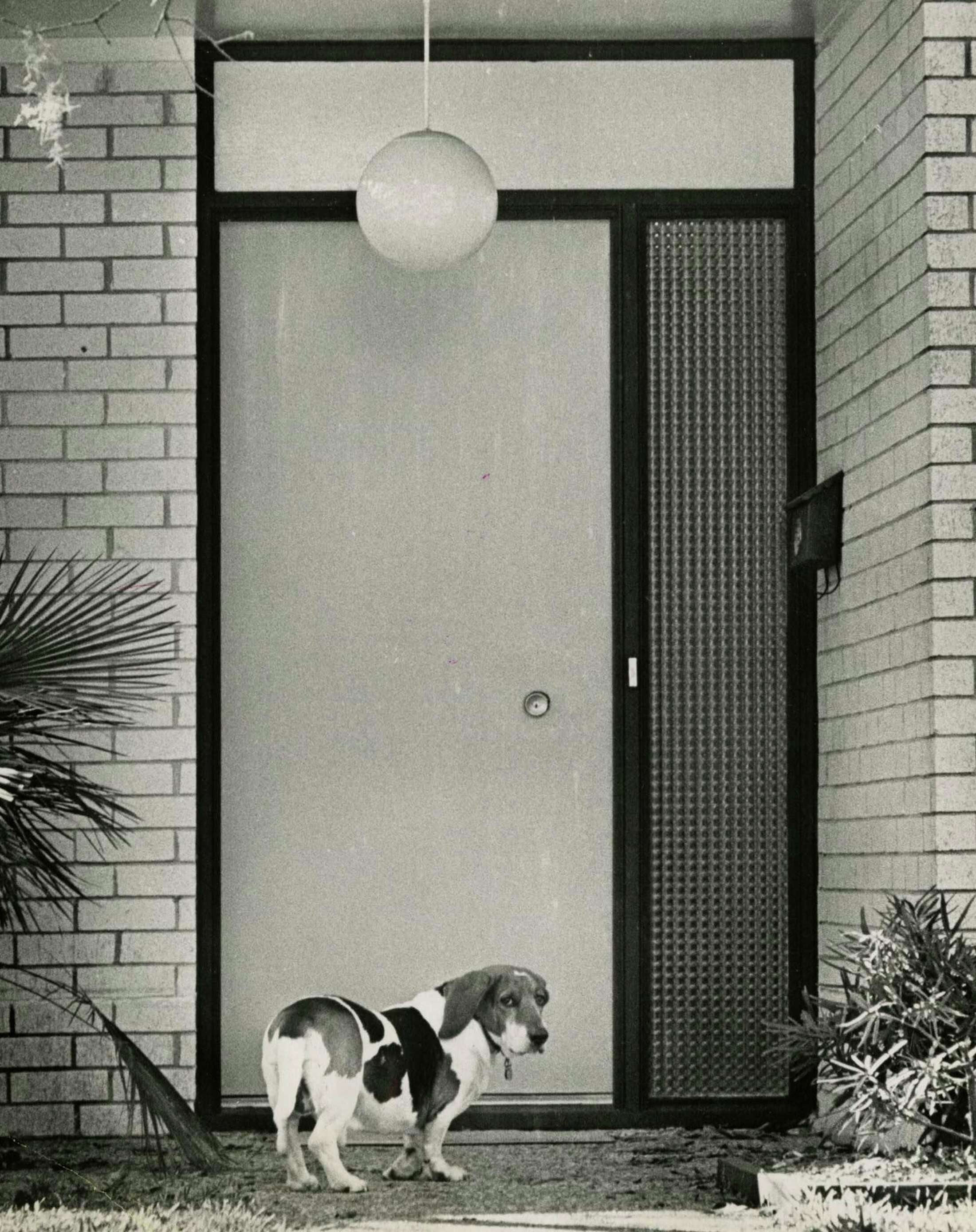John Glenn's neighborhood In Timber Cove, the astronauts' families