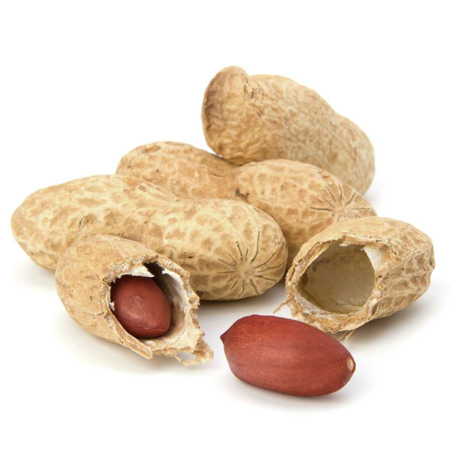 Gardener Yes You Can Grow Peanuts Up North Times Union