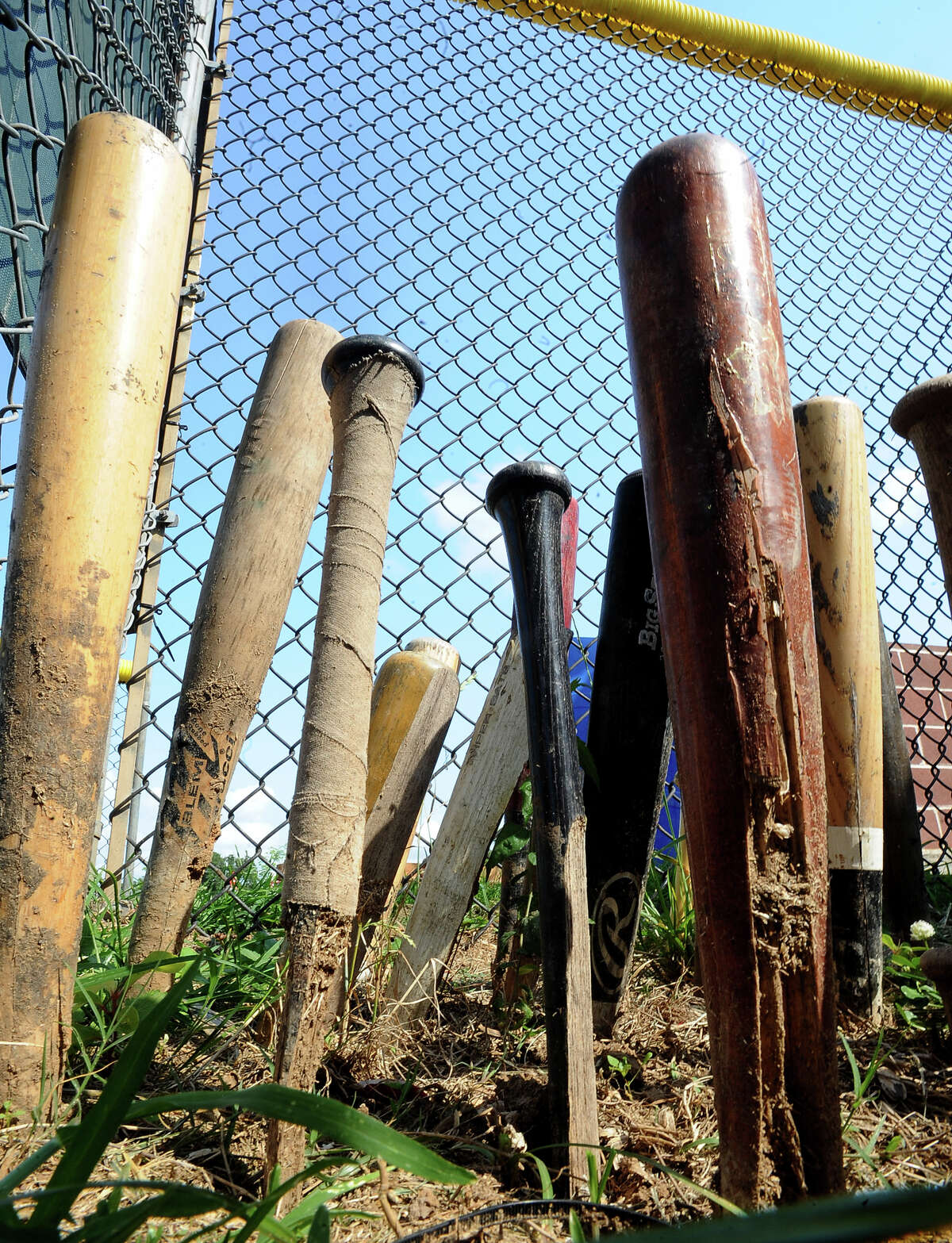 Broken baseball bats have a cemetery at Bridge City