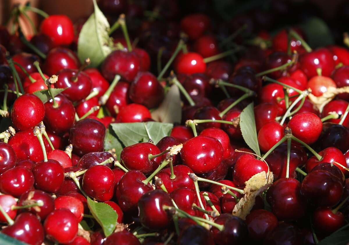 cherries politics two farm stands divides cherries politics two farm stands divides