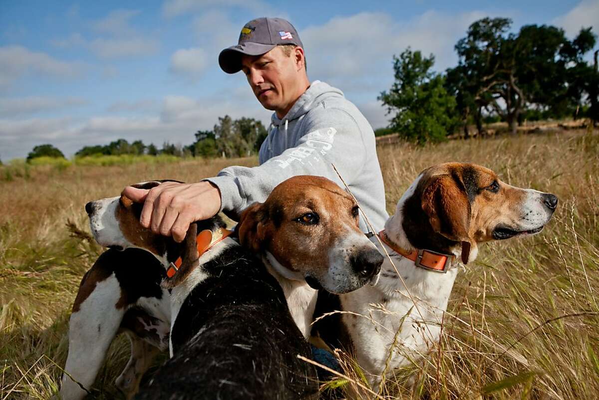 Assembly considers ban on using dogs to tree prey