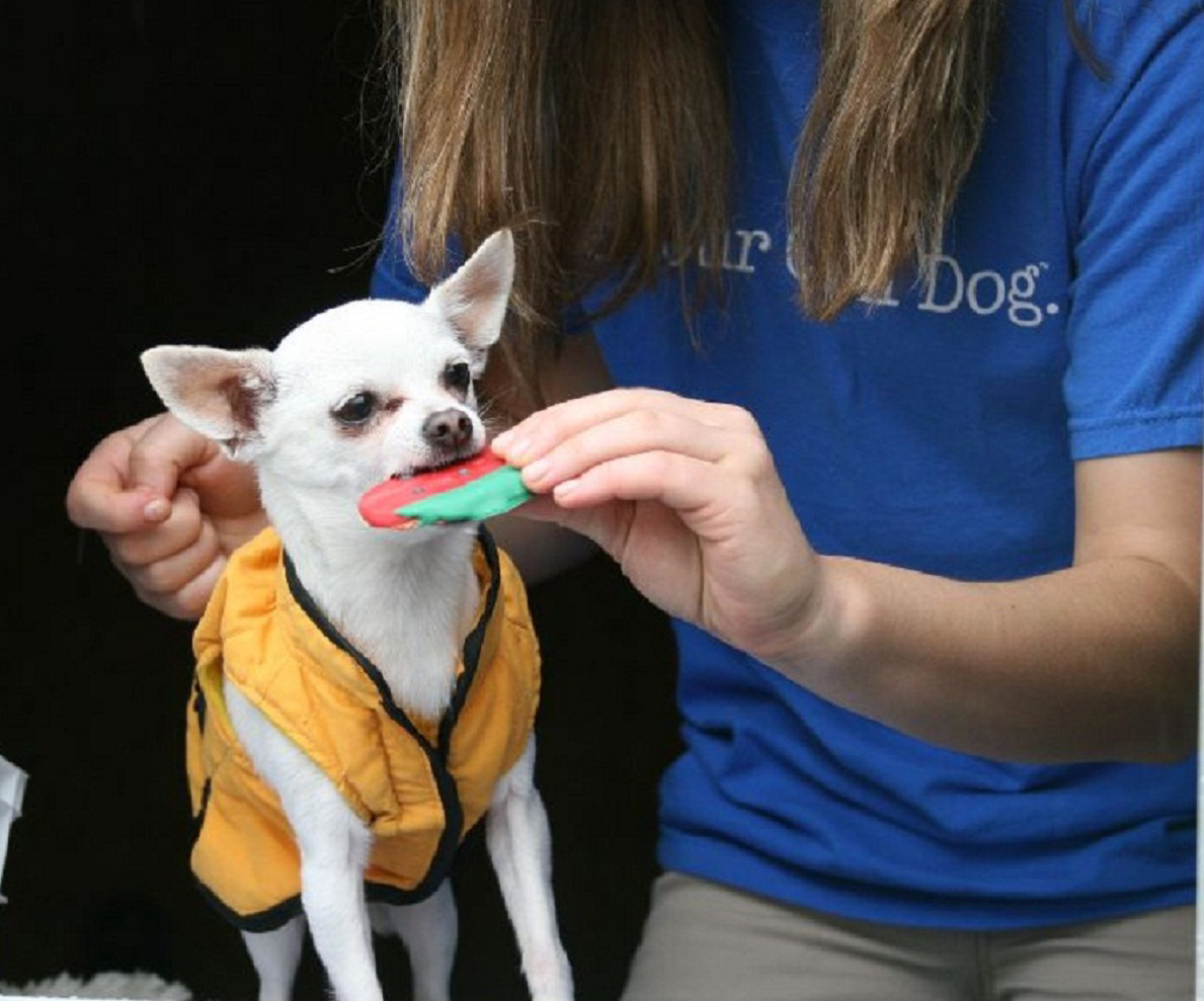 Best Friends pet care marks 20th anniversary